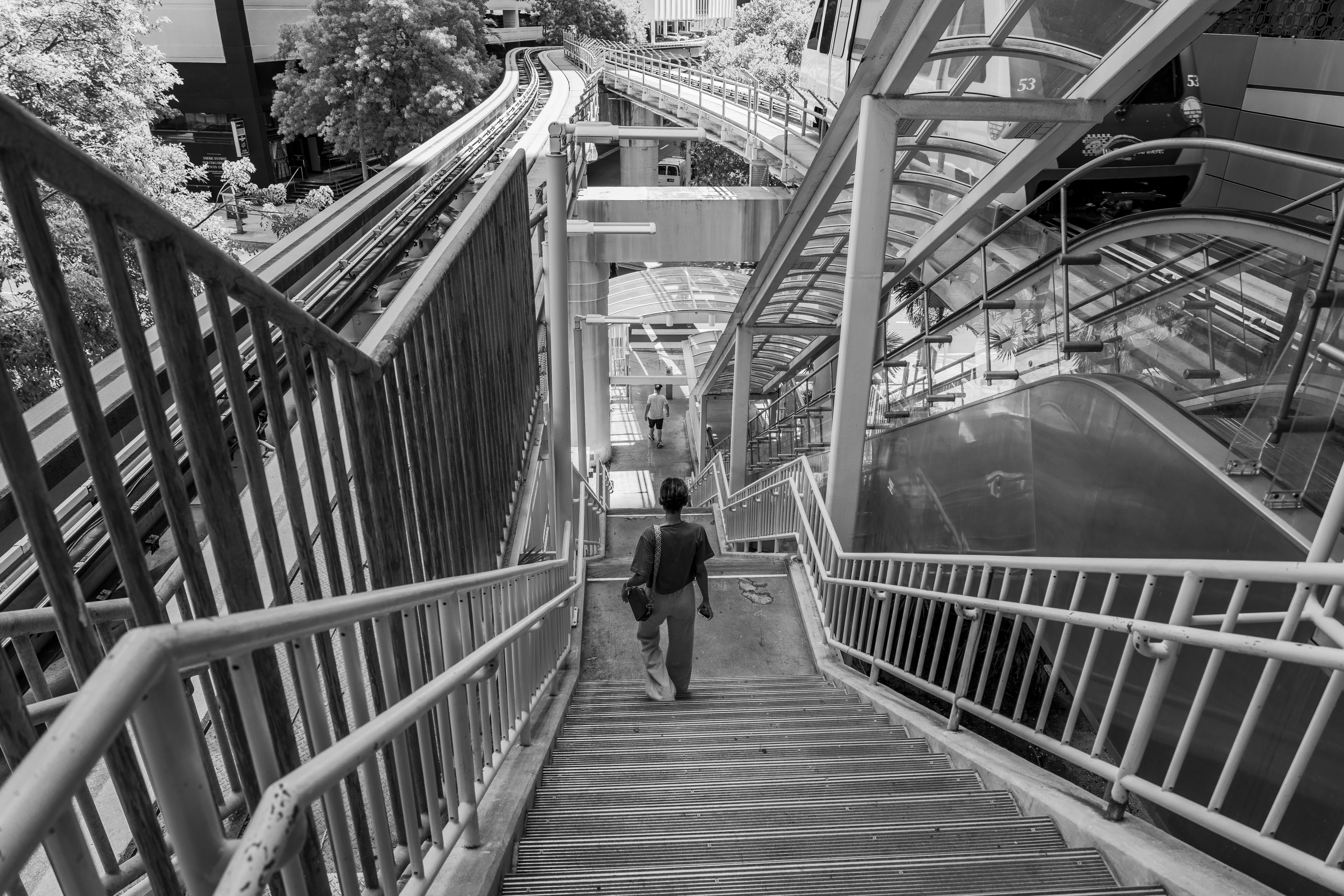 Photo by taravinesmith