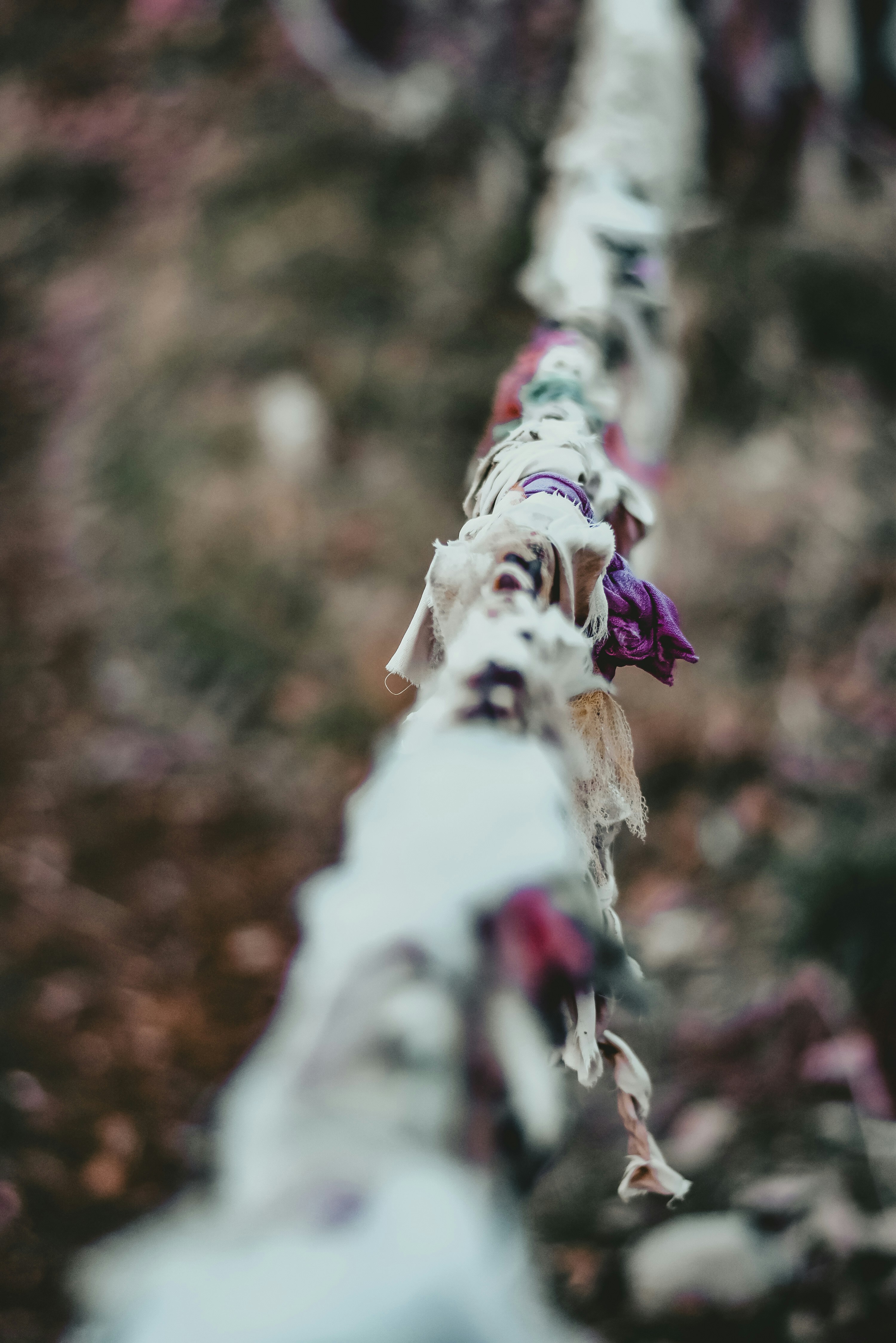 Photo by nasimkeshmiri