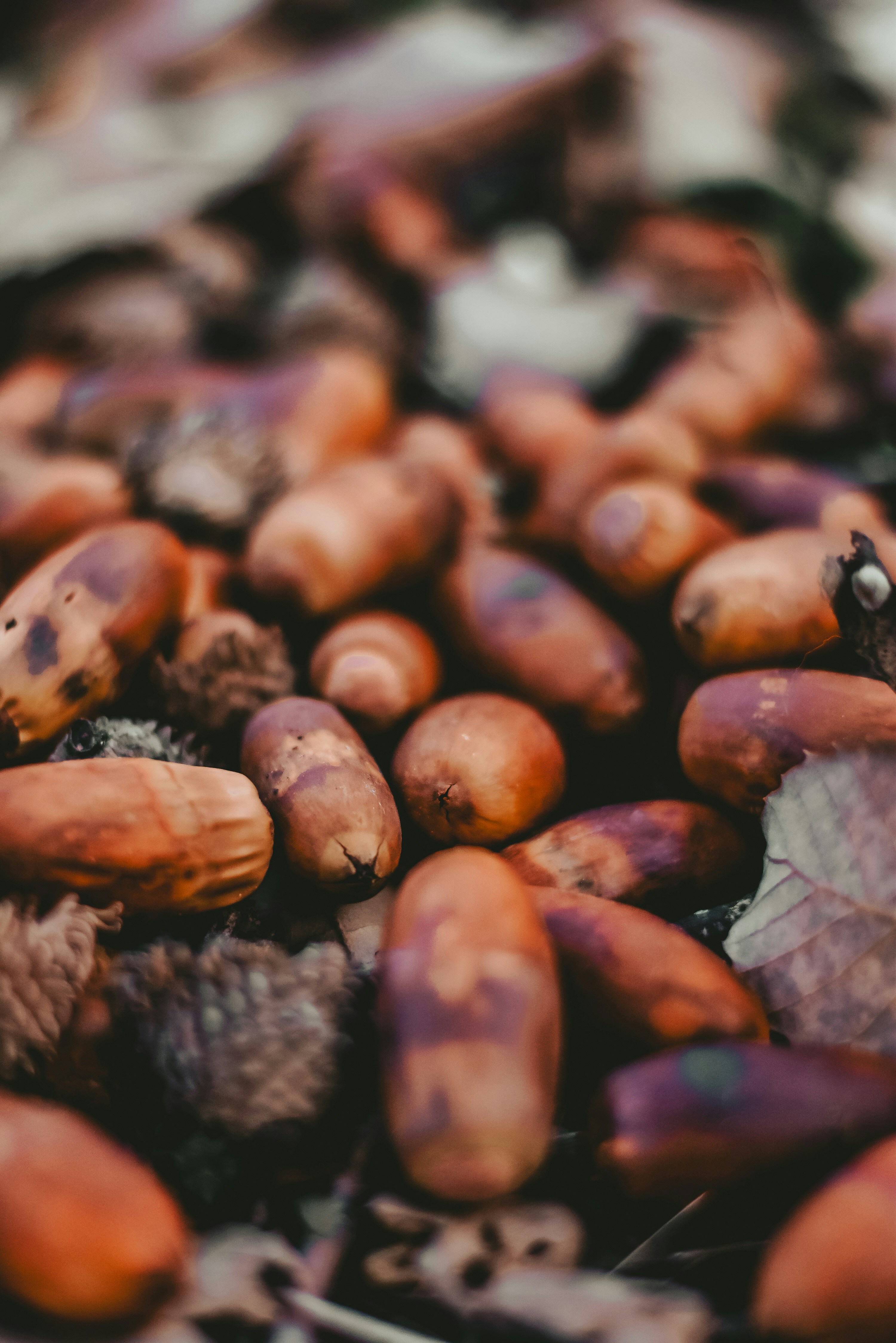 Photo by nasimkeshmiri