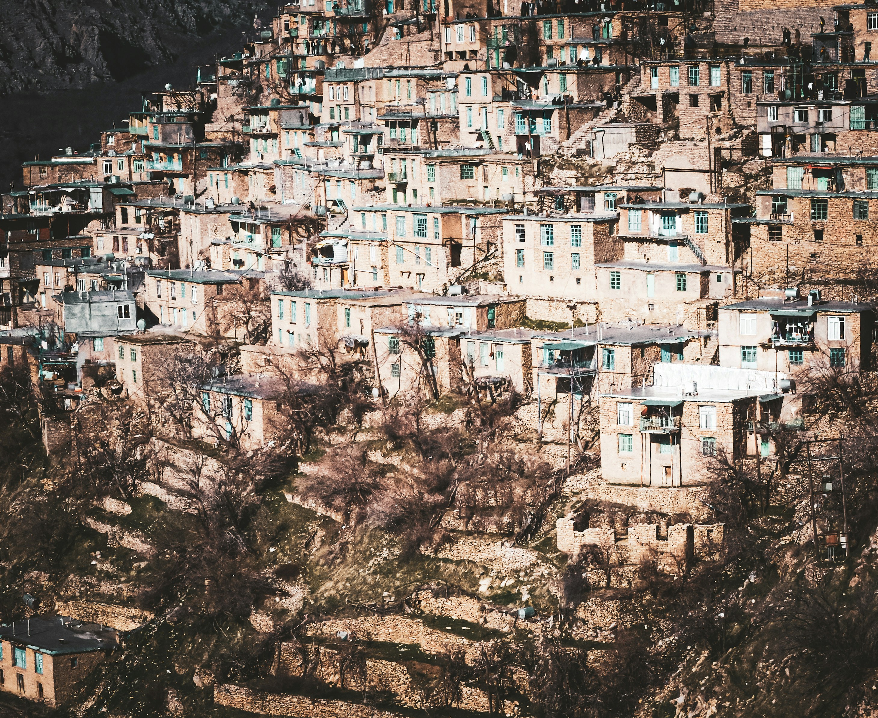 Photo by nasimkeshmiri