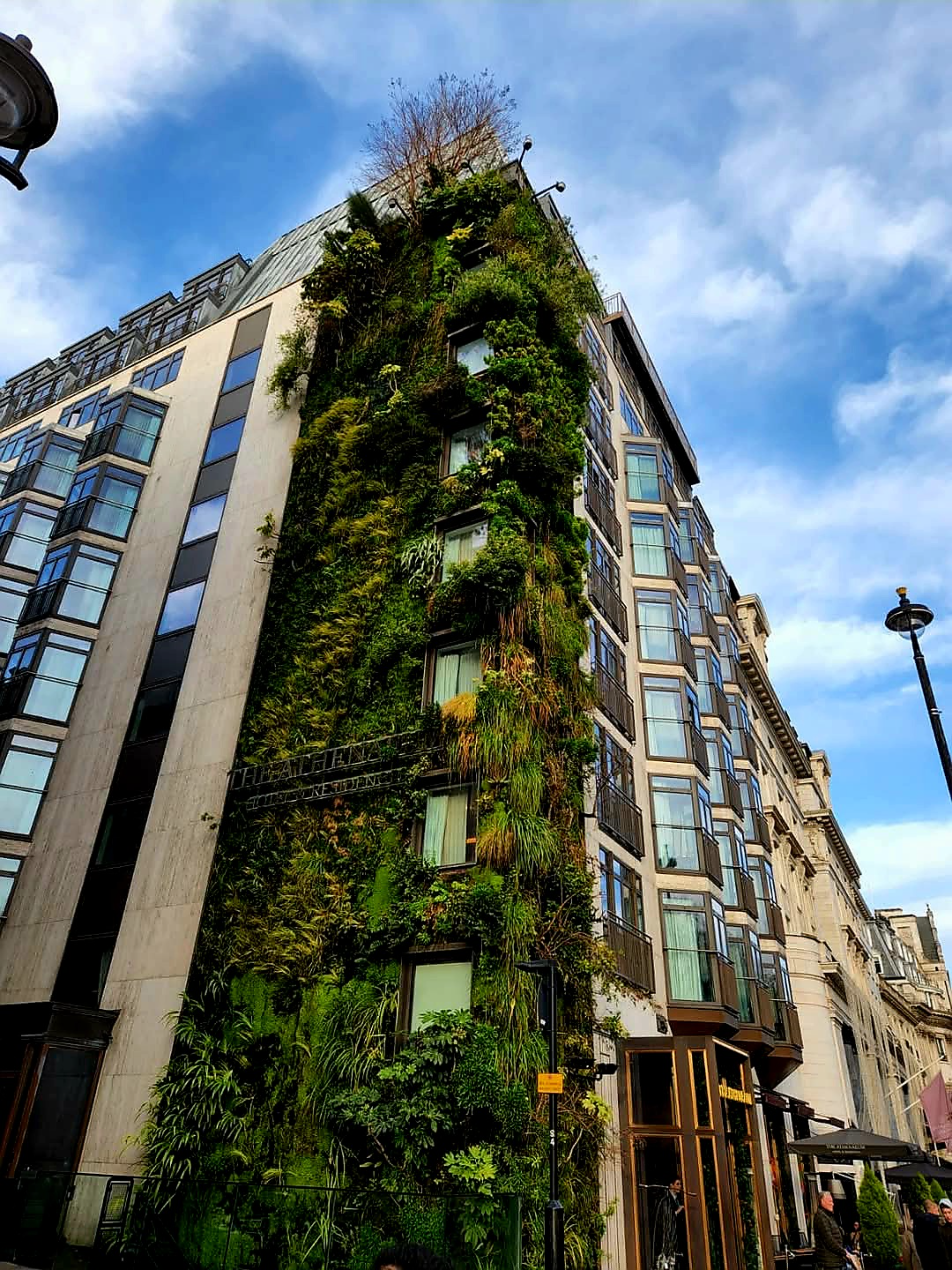 eco-friendly building how to renovate sustainably in the city