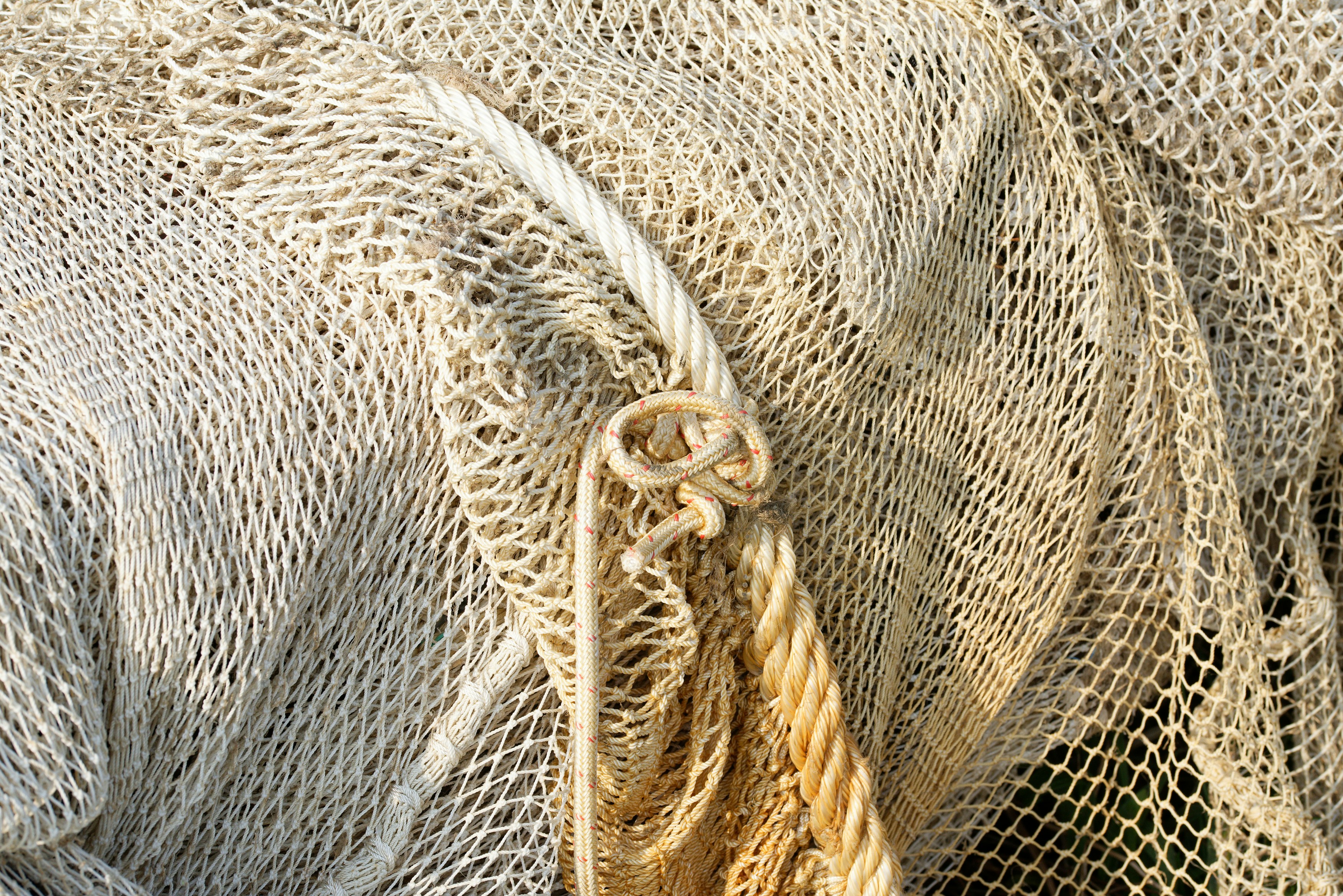 Photo by designbytholen