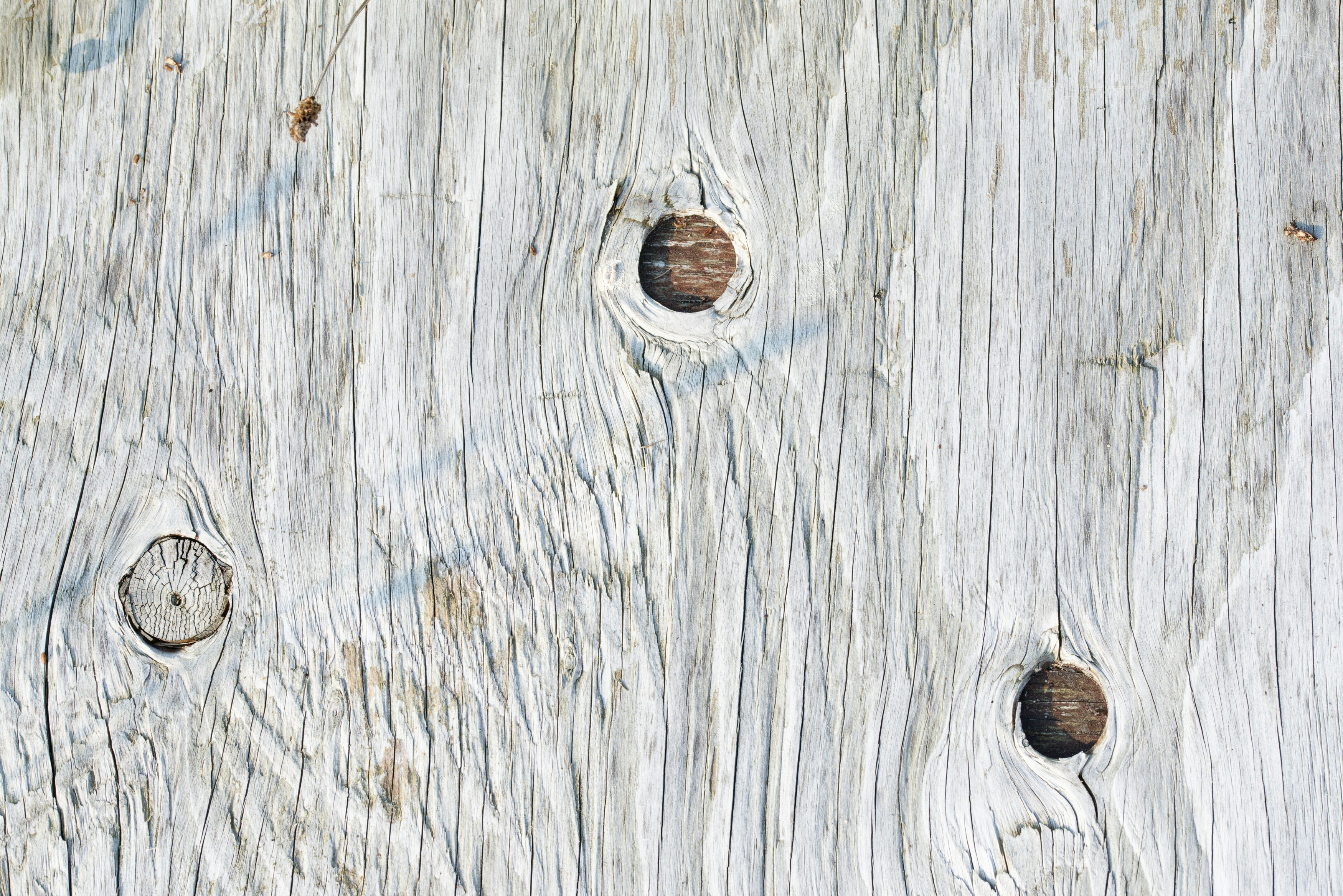 Photo by designbytholen