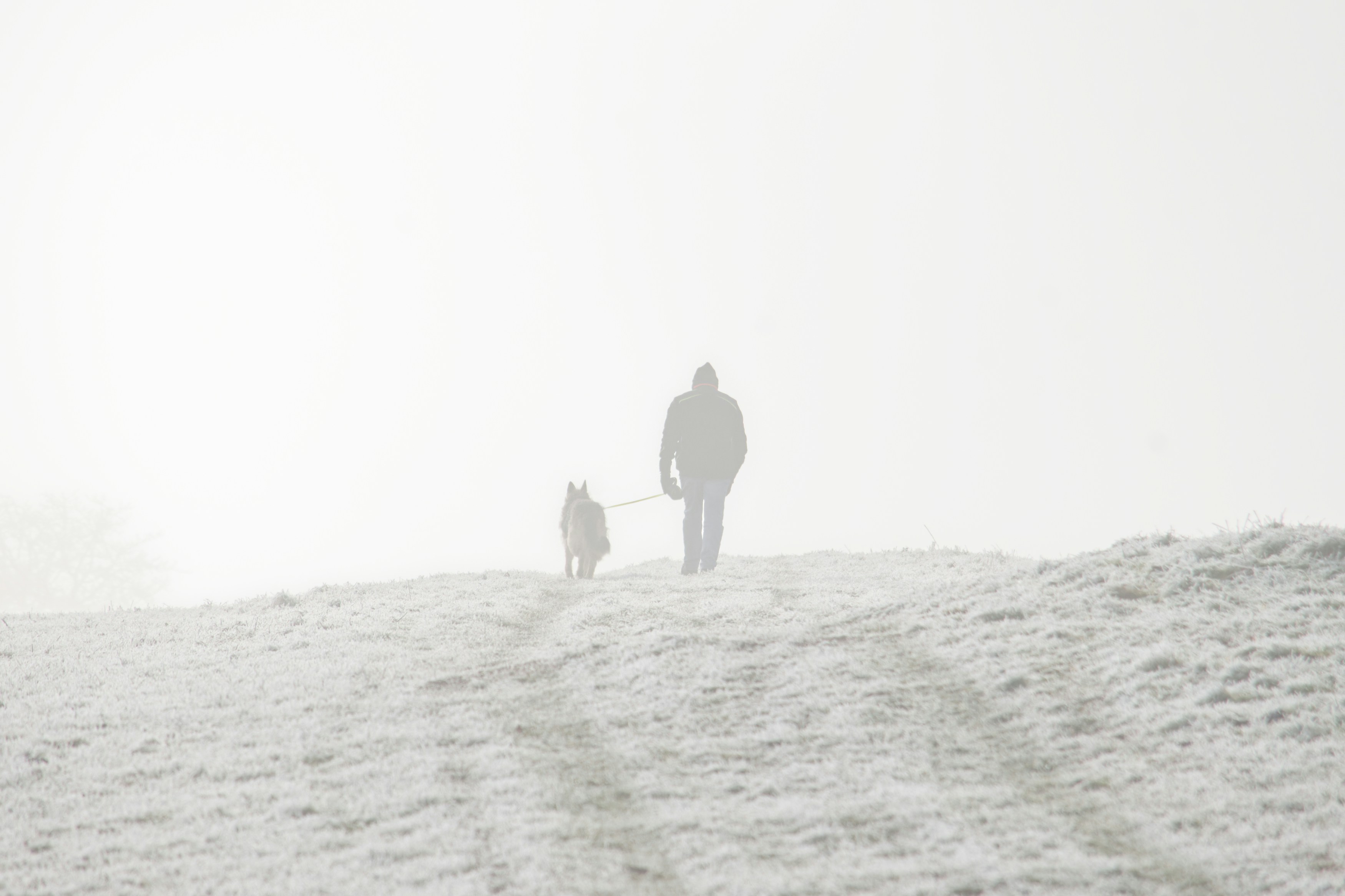 Photo by designbytholen