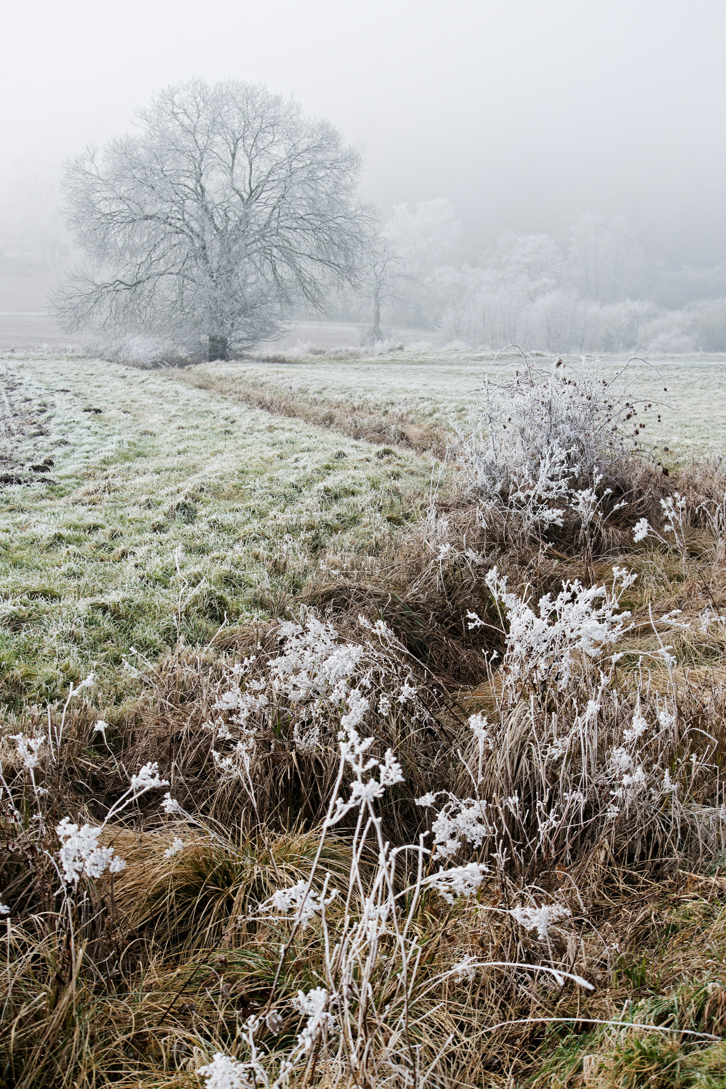 Photo by designbytholen