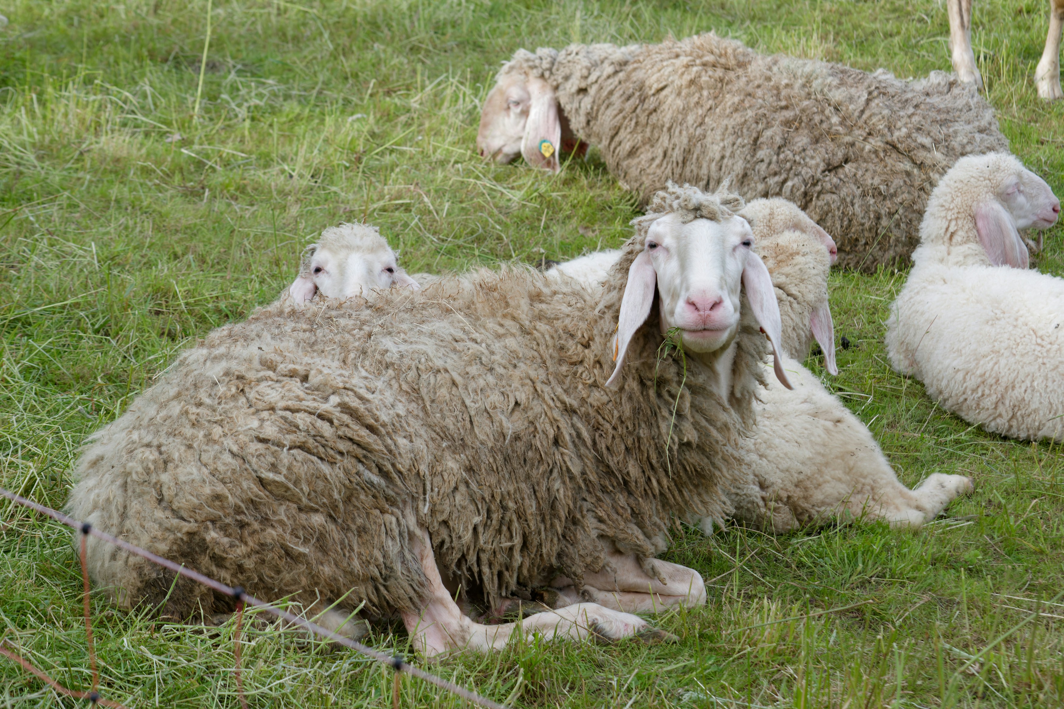 Photo by designbytholen