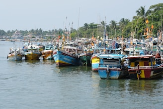 A bunch of boats that are sitting in the water