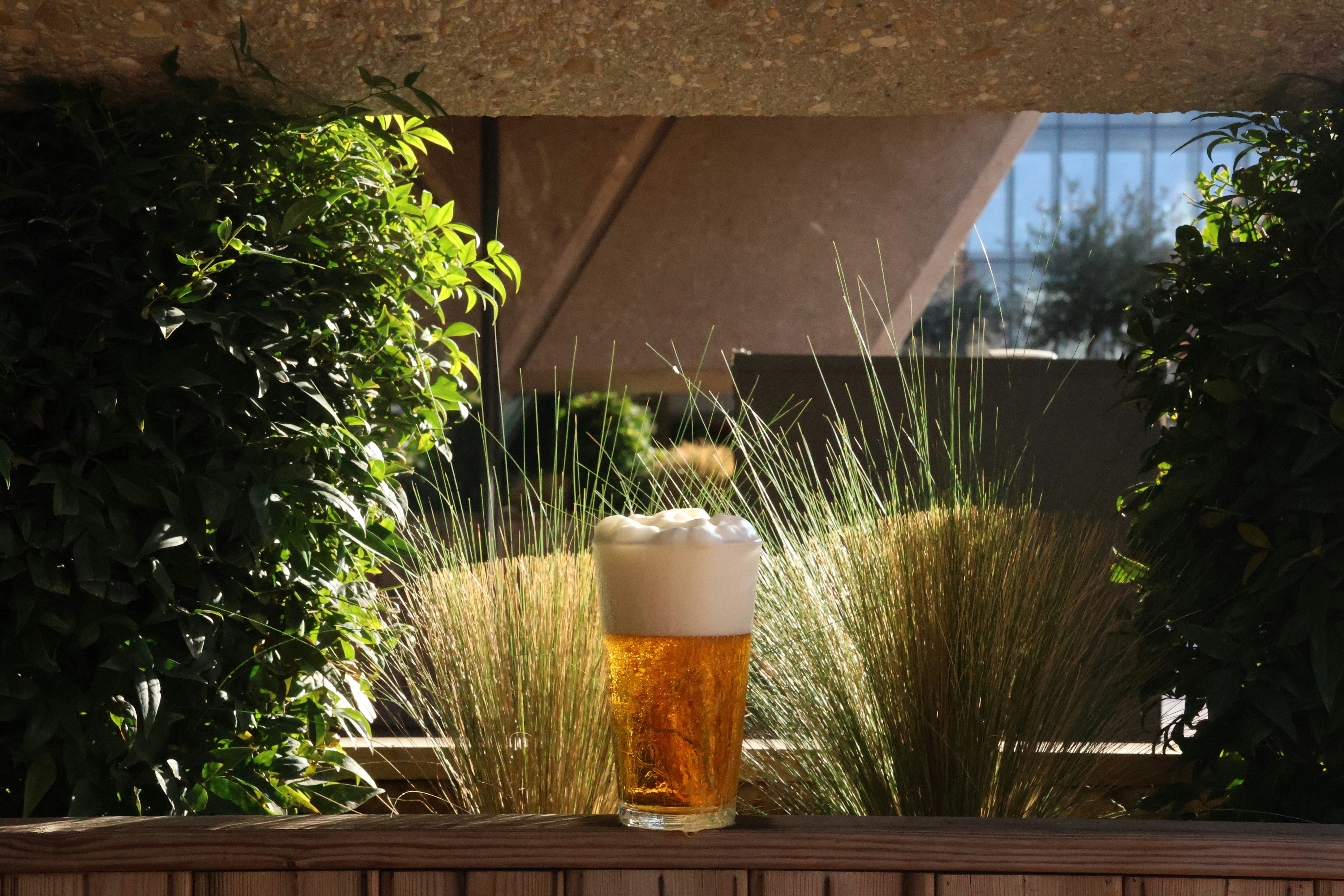 木製のテーブルの上に座ったビールのグラス