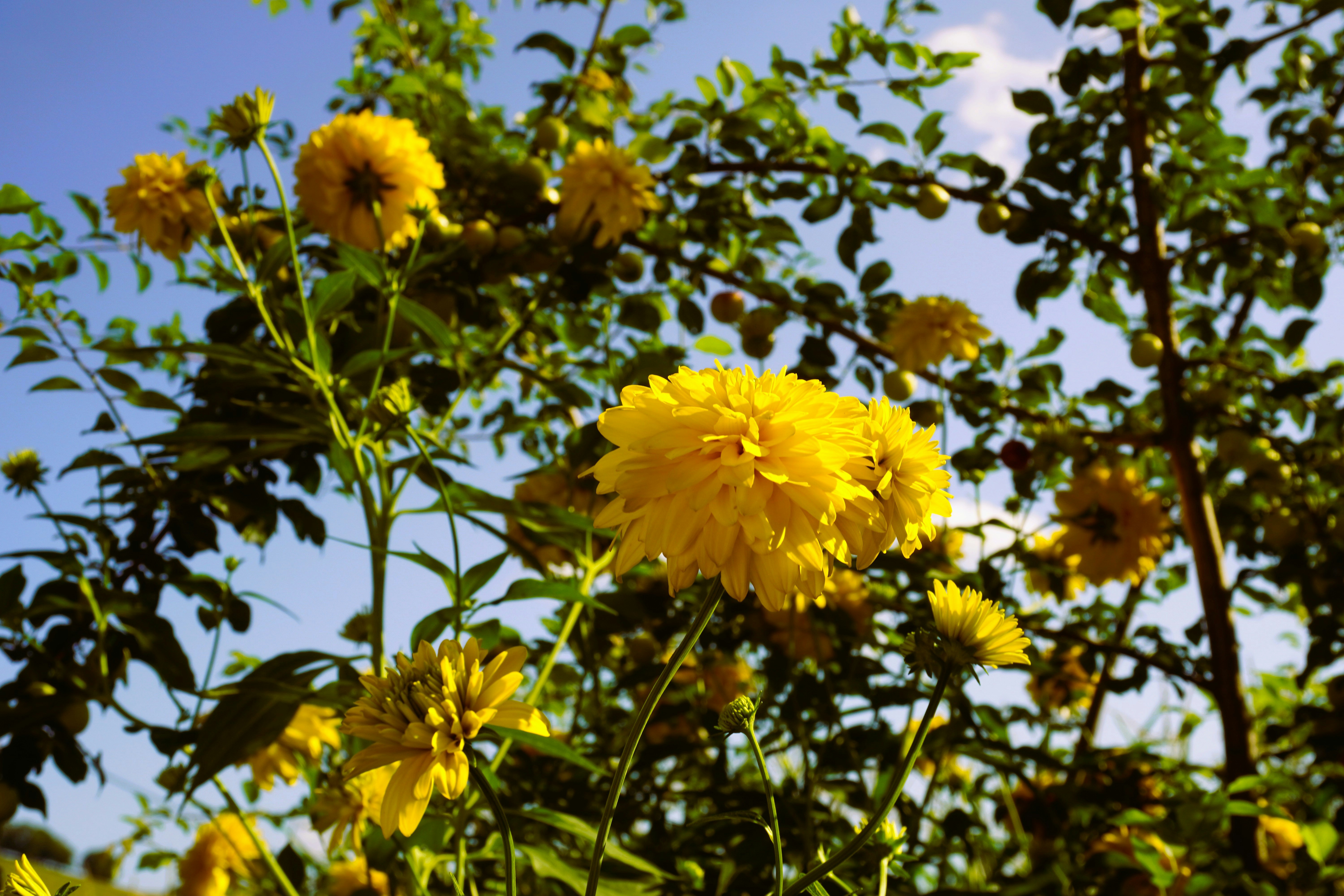 Photo by ioana_roxanna_b