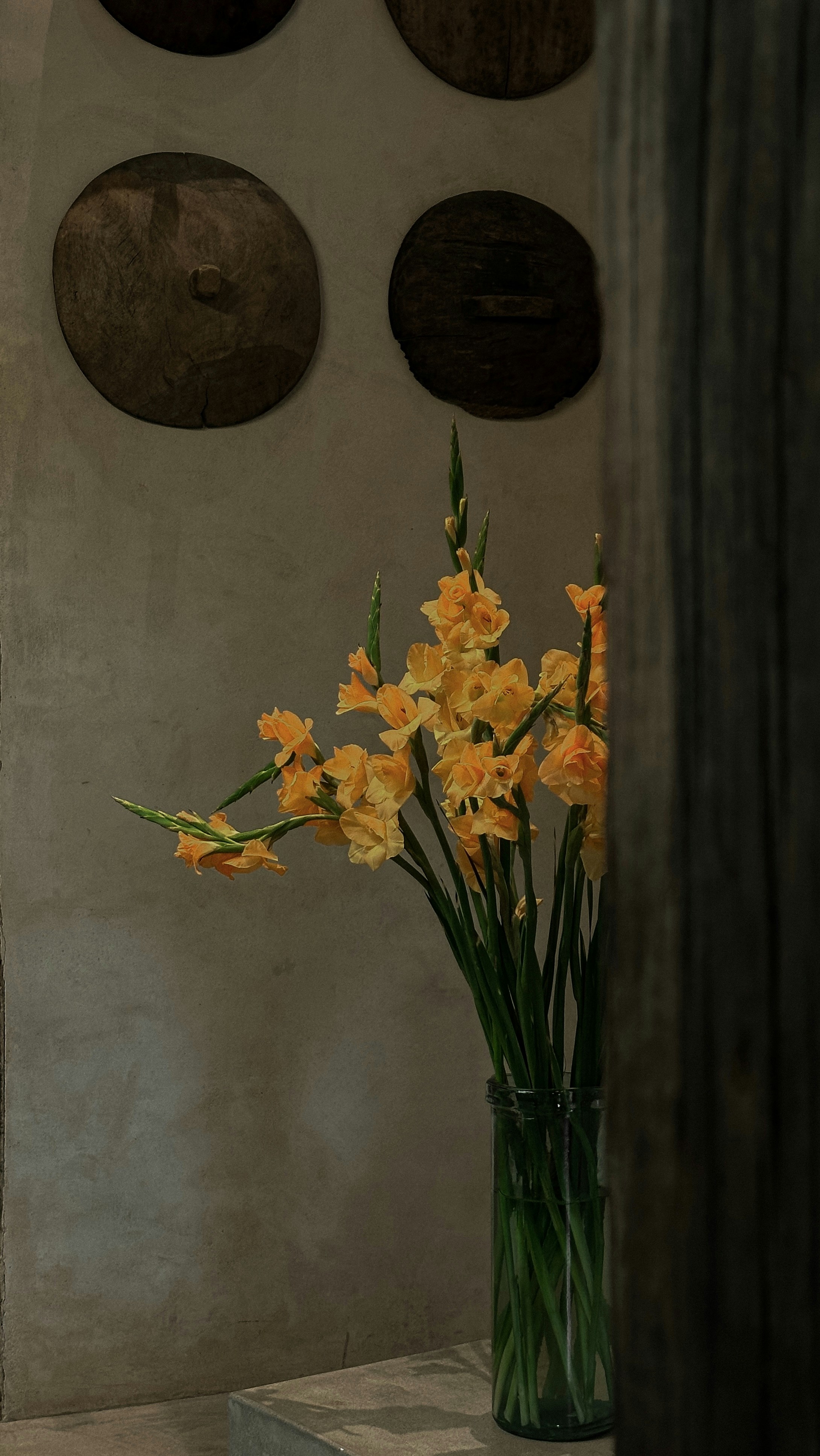 Photo by quinguyen