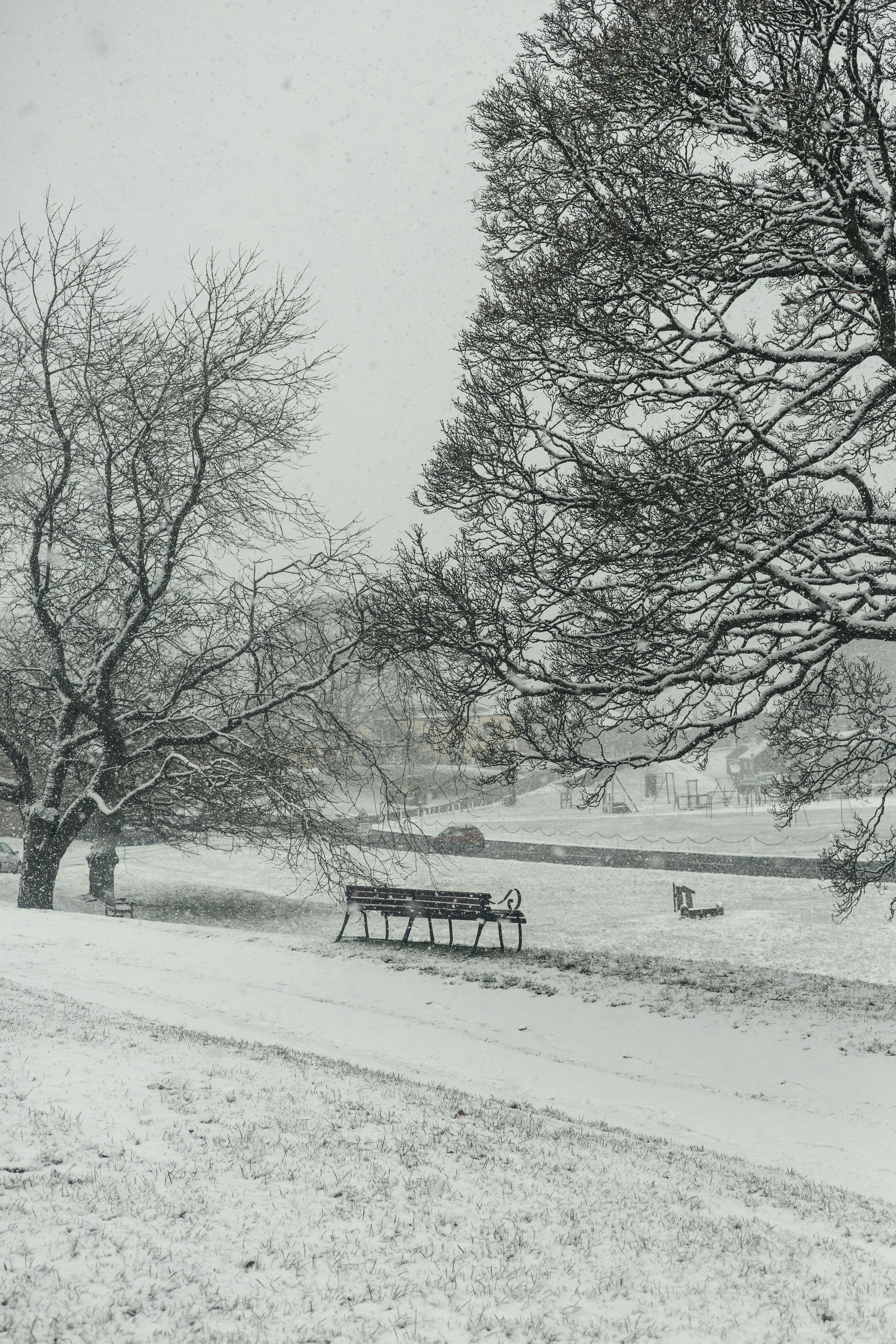 Photo by bethanybeckphotography