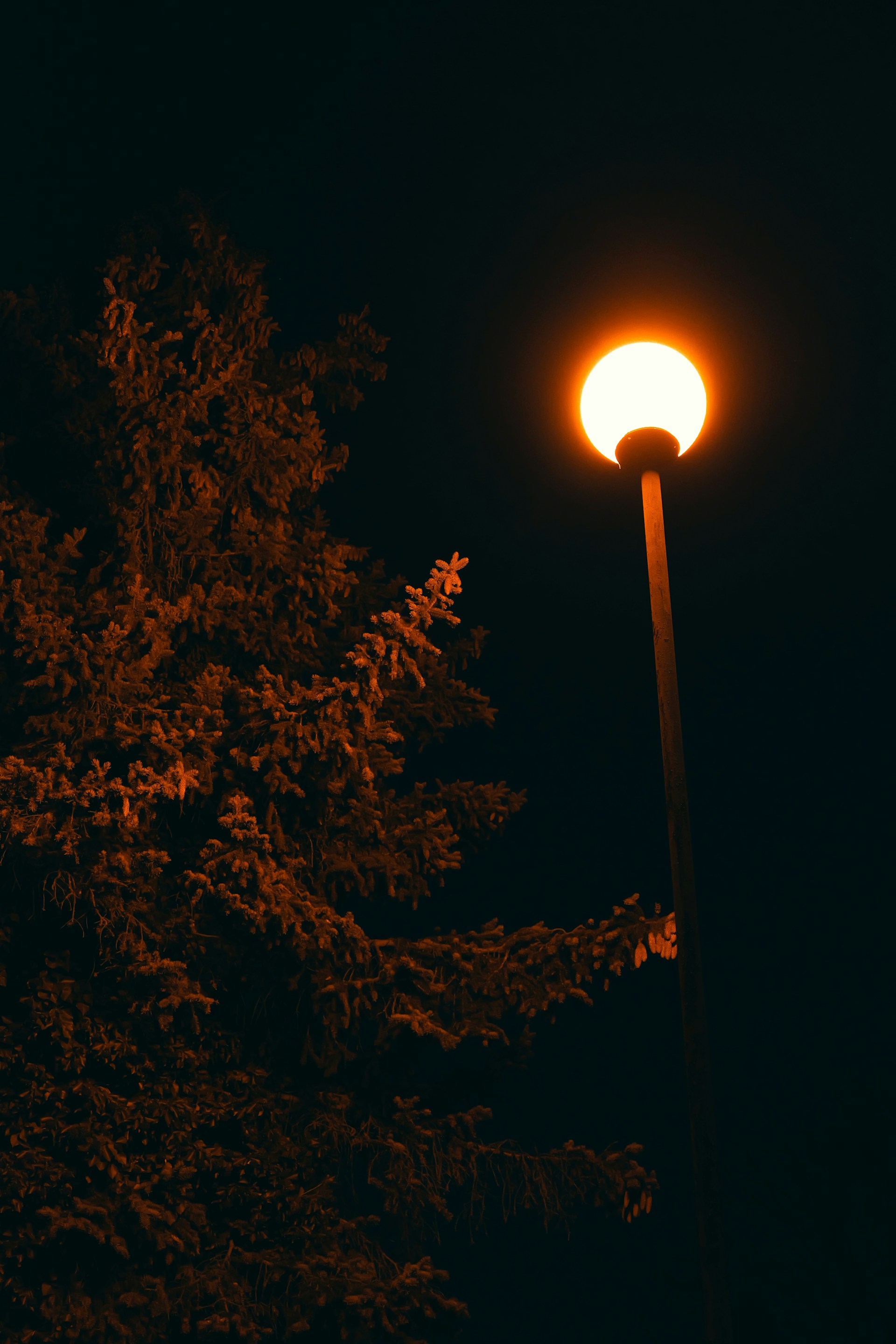 A street light with a tree in the background