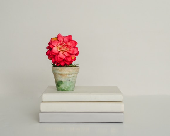A flower pot sitting on top of a stack of books
