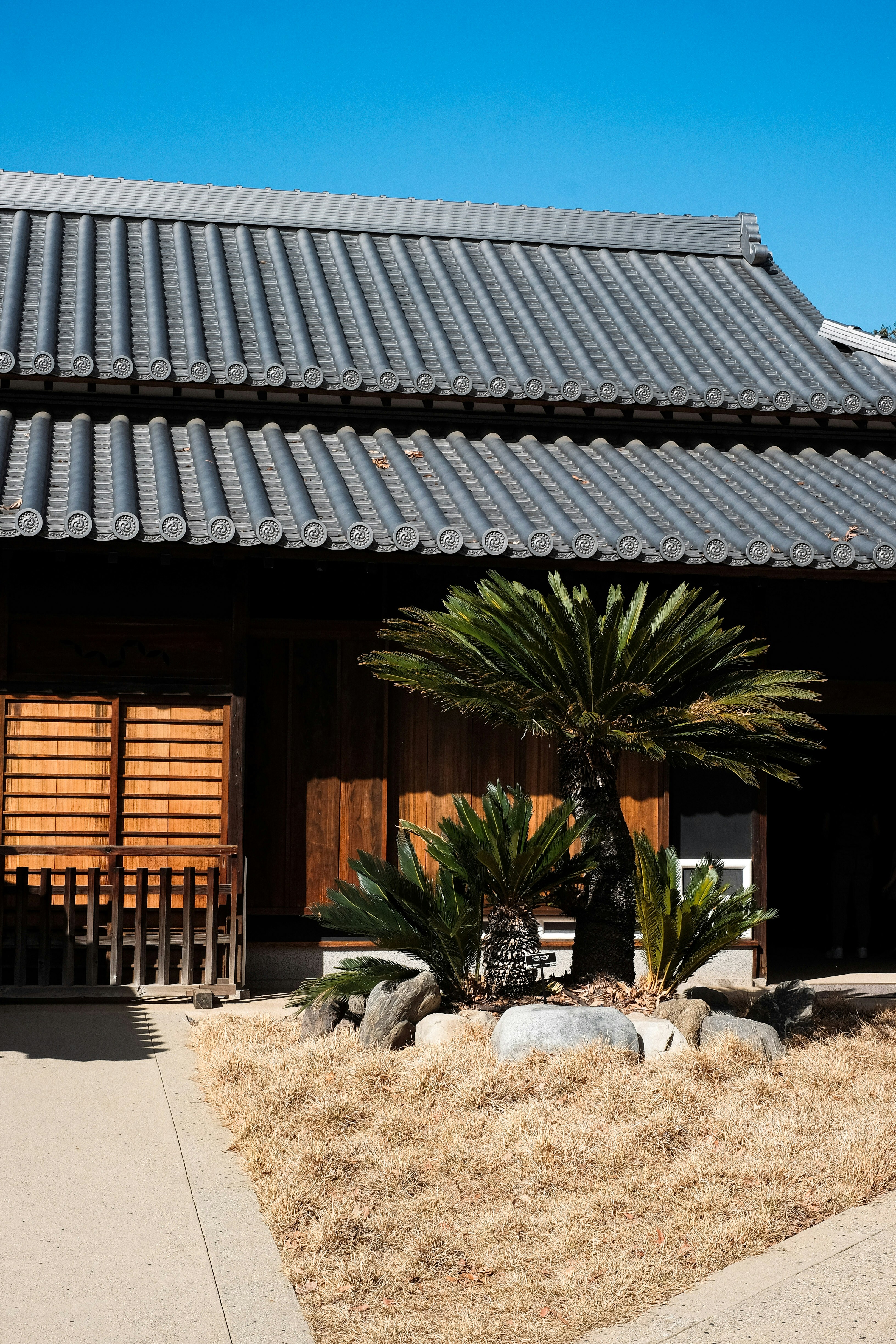 A building with a palm tree in front of it