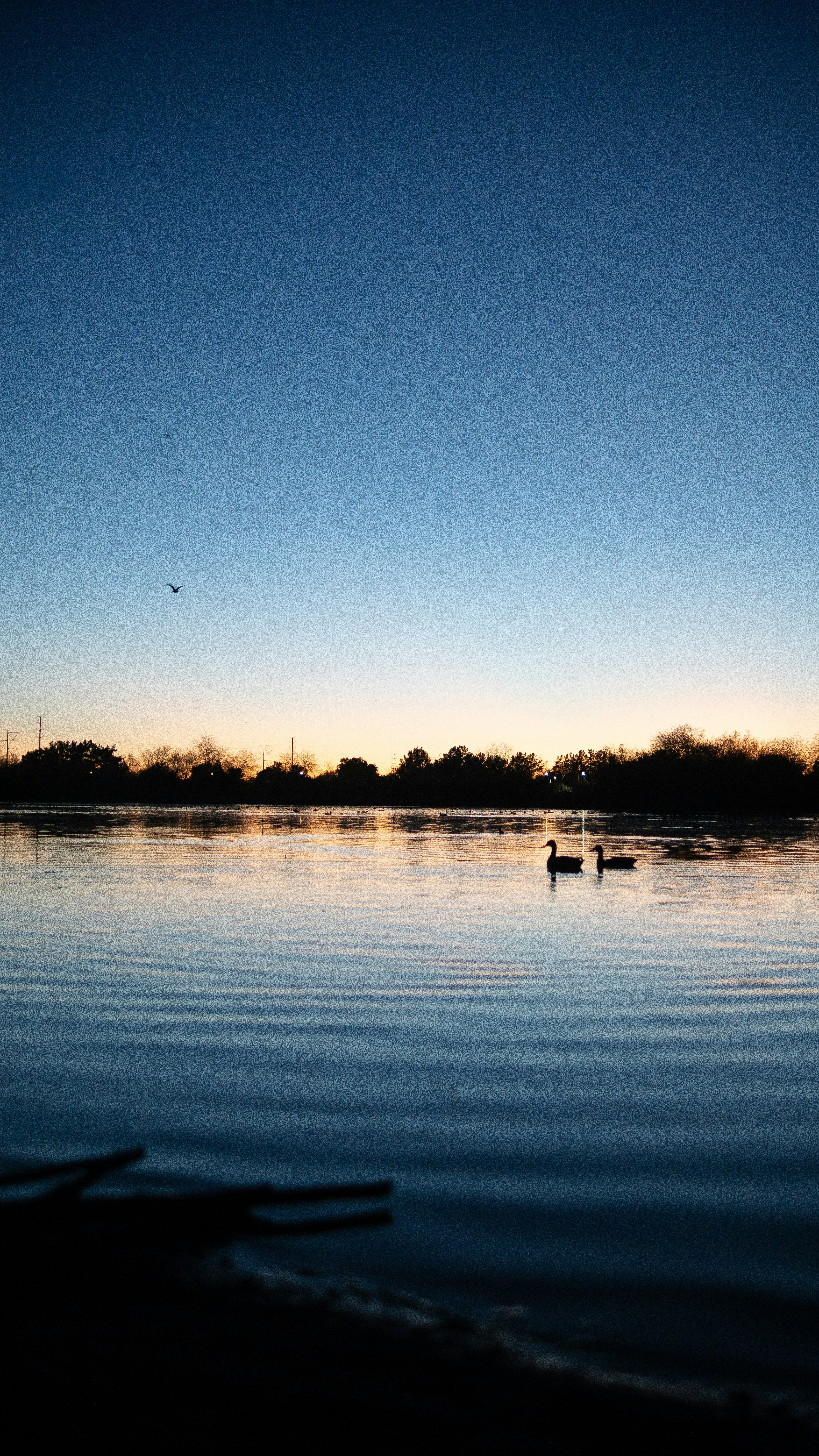 Photo by tonyeightmedia