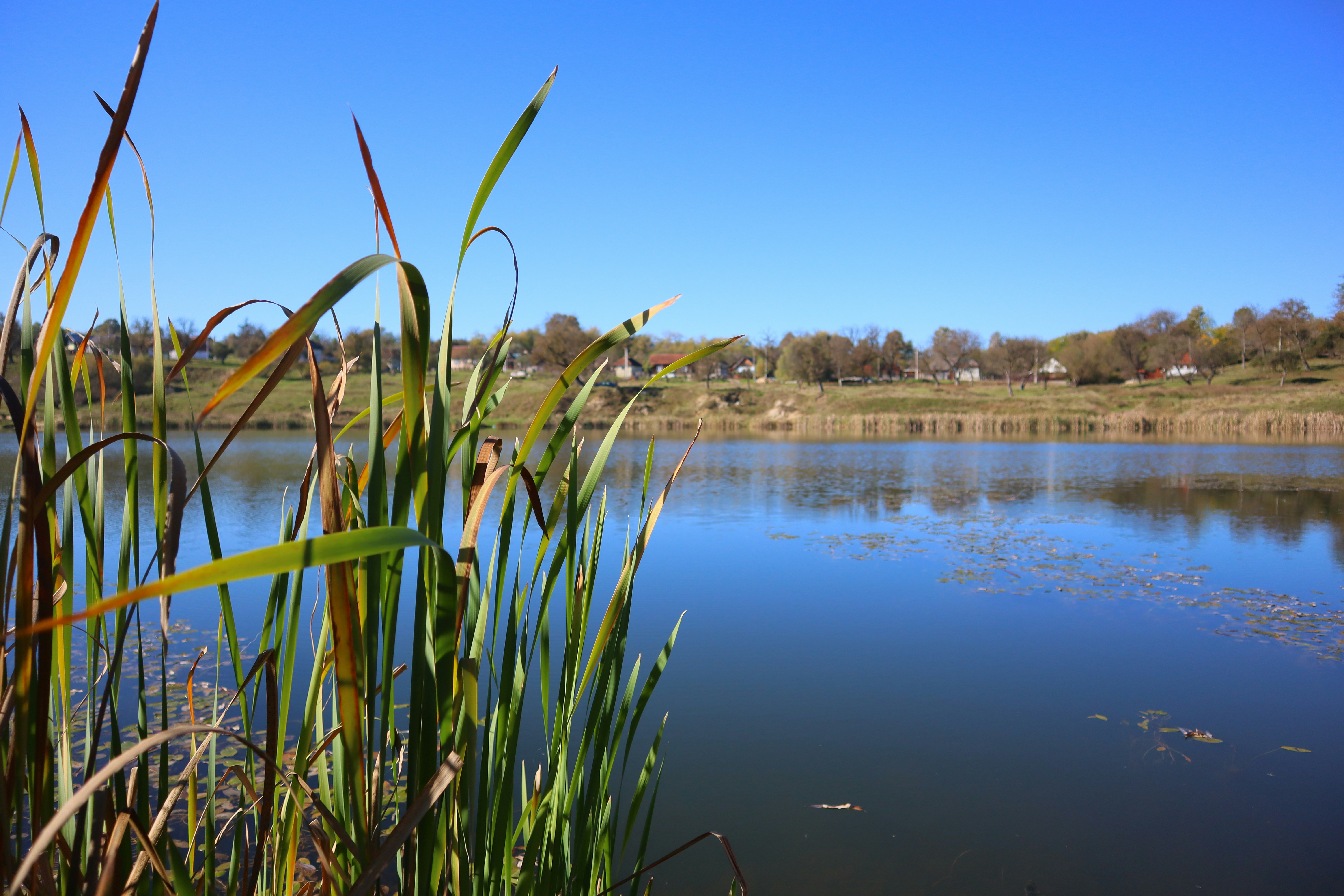 Photo by zoltanbiro1988