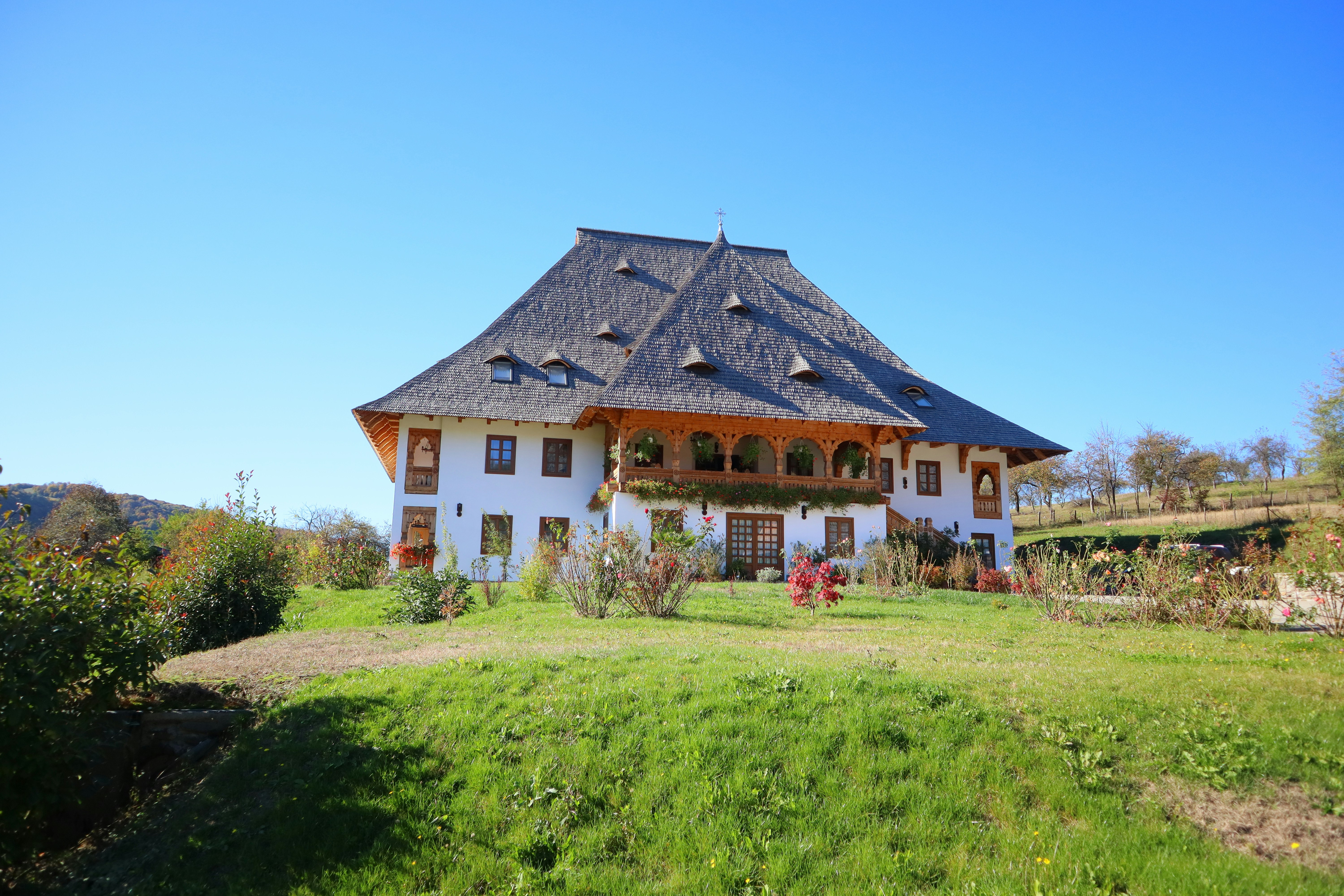 Photo by zoltanbiro1988