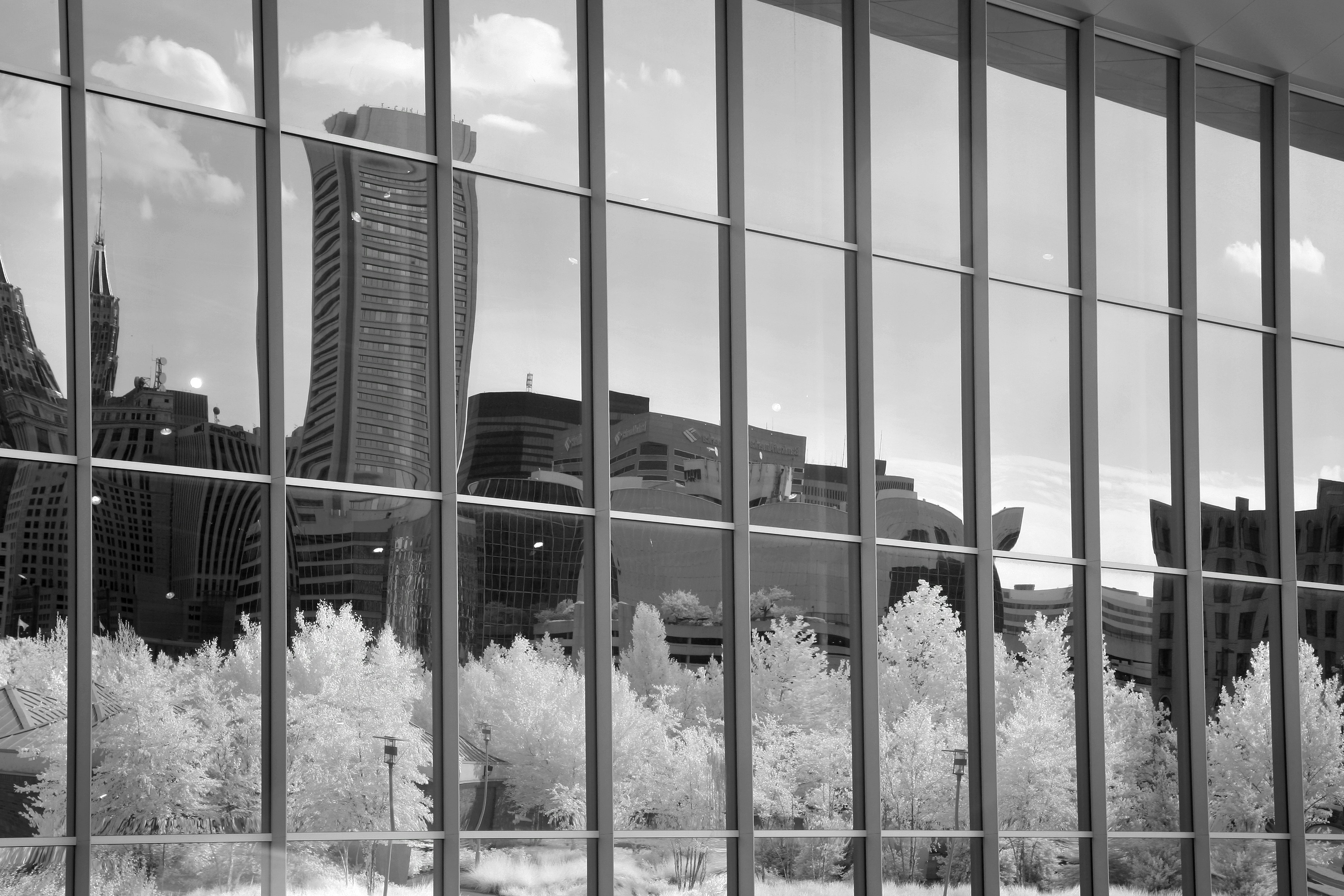 Photo by john_cardamone