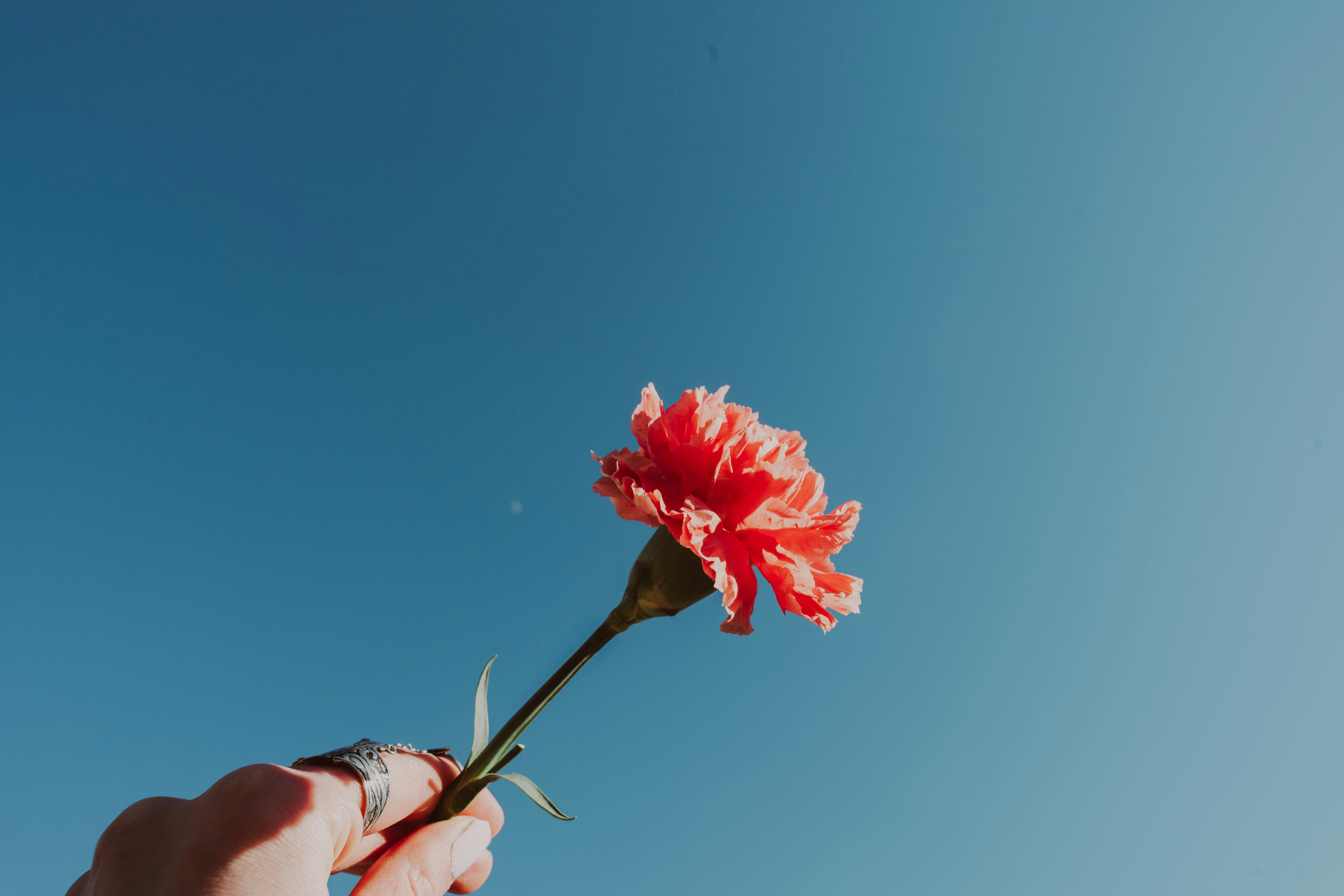 Photo by nellie_adamyan