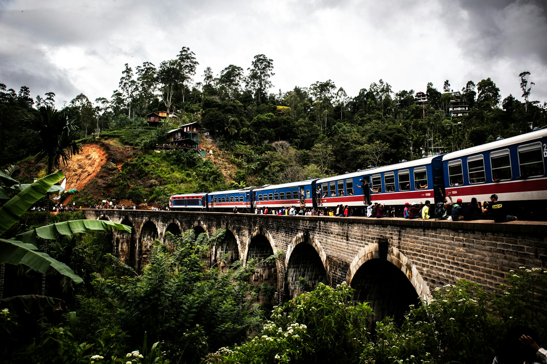 A train traveling over a bridge in a forest