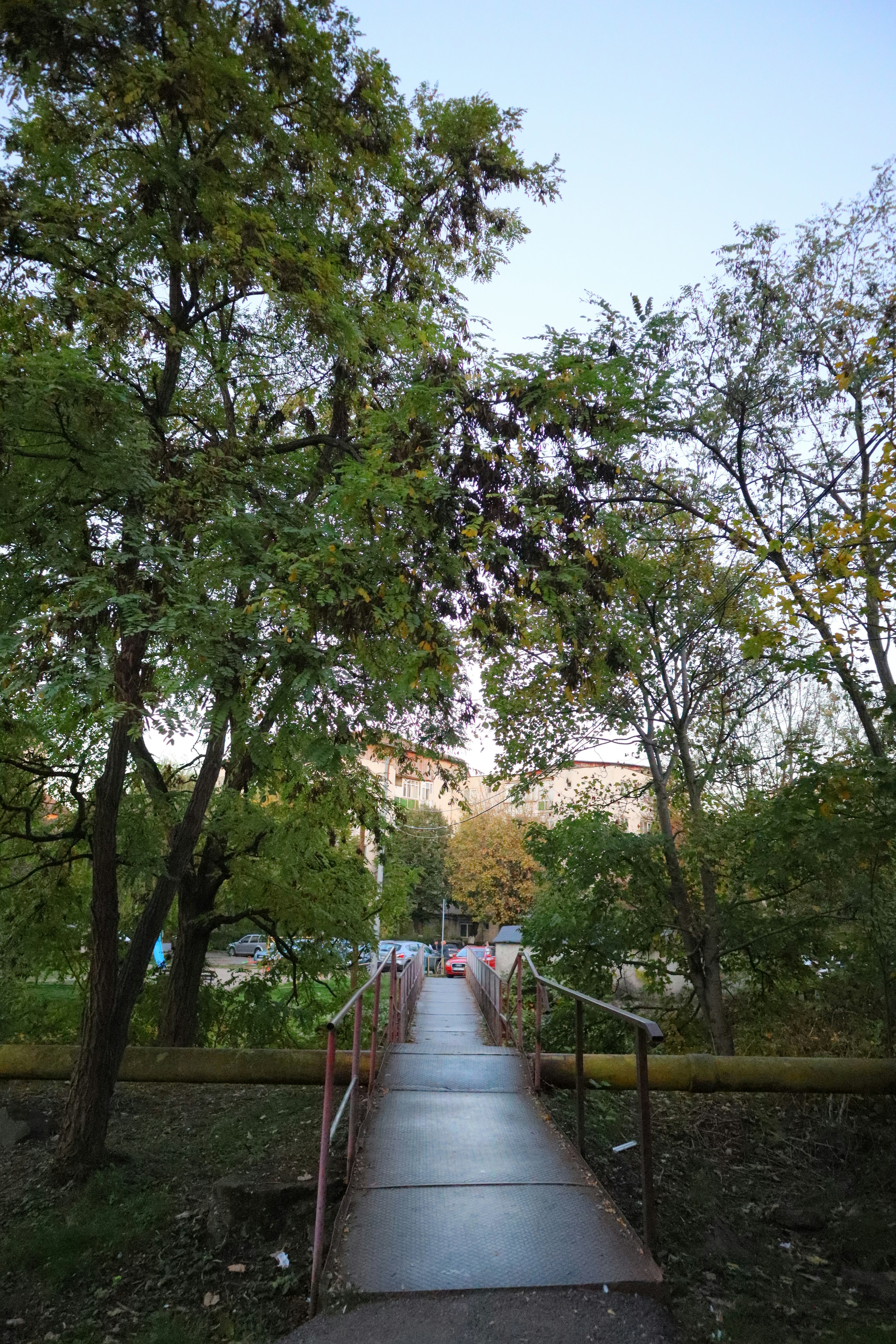 Photo by zoltanbiro1988