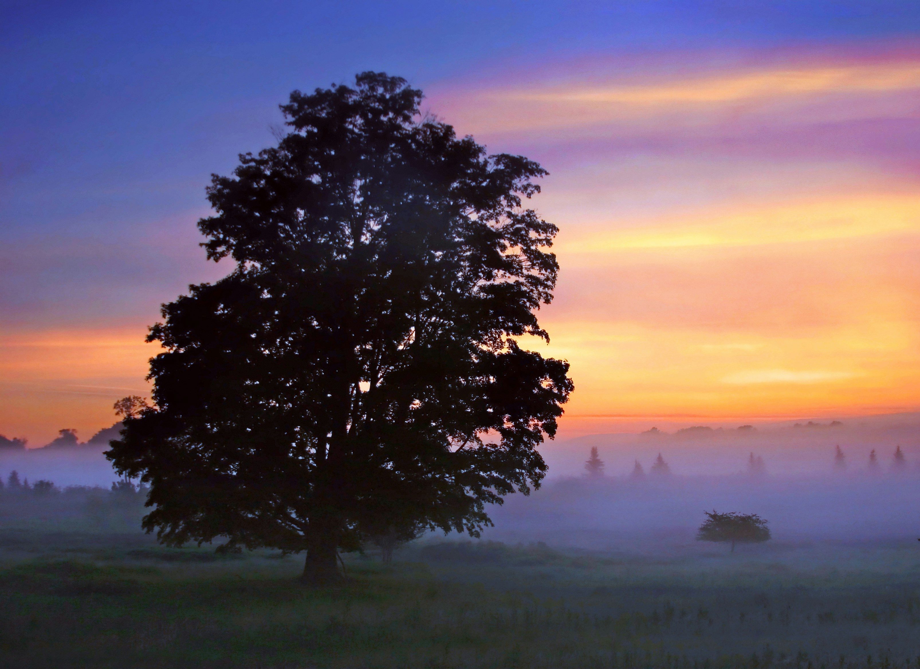 Photo by john_cardamone