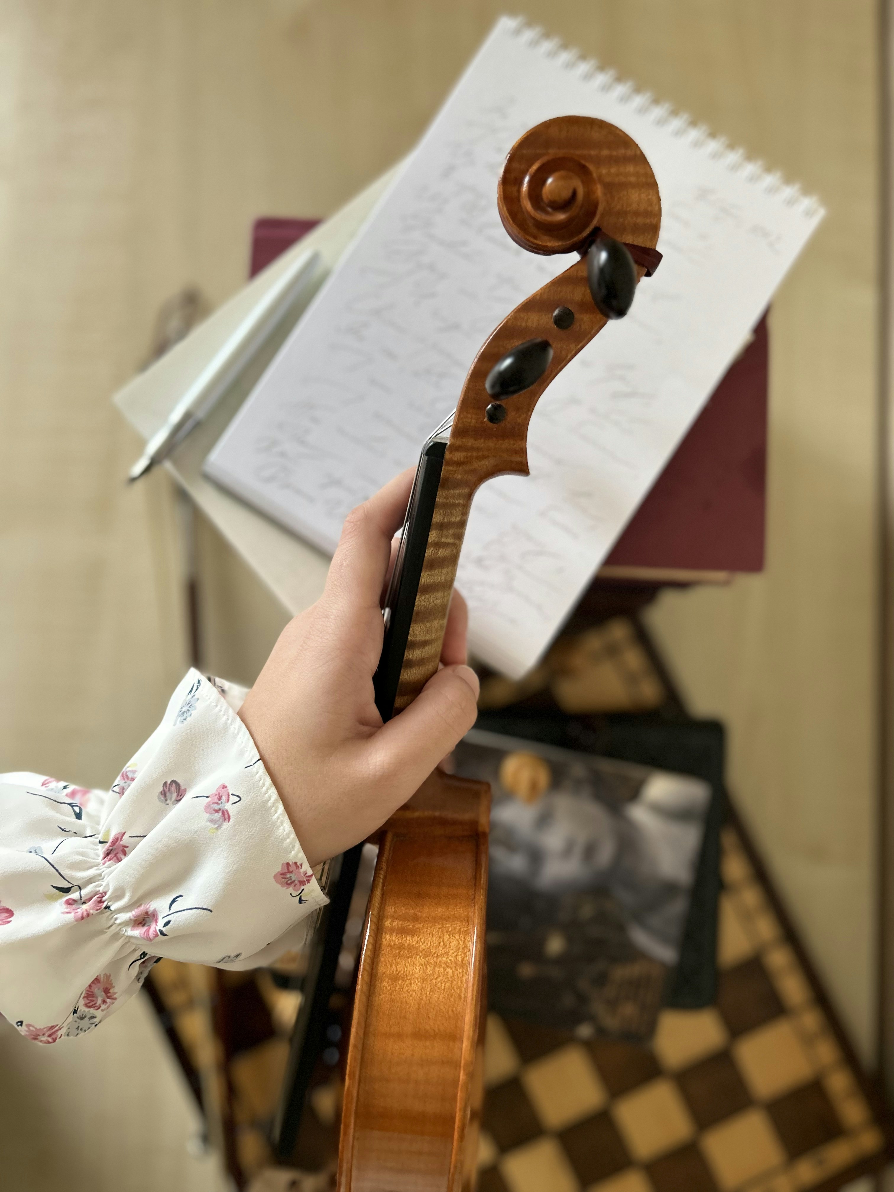 A person holding a violin in their hand