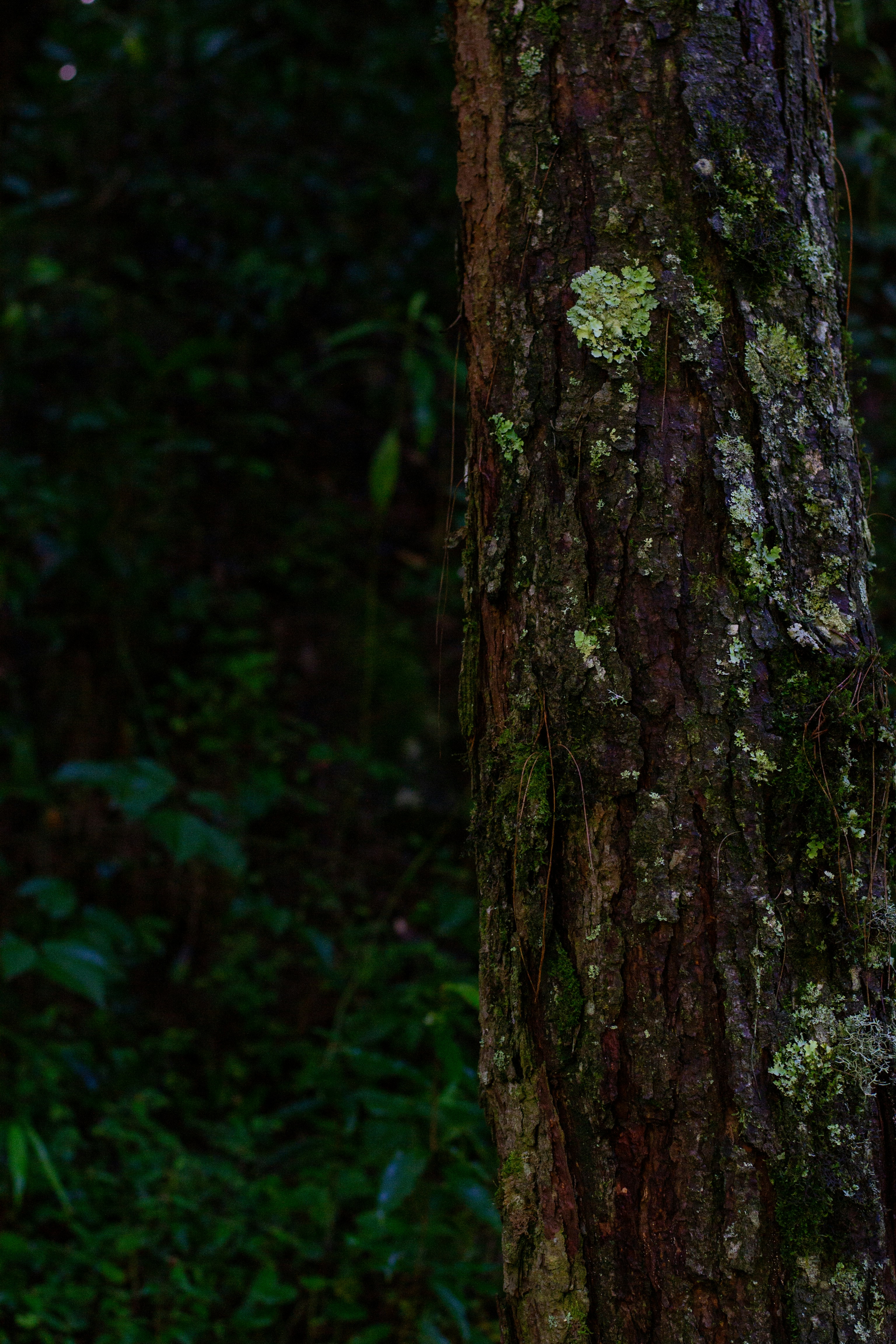 Photo by alethiabaguilar