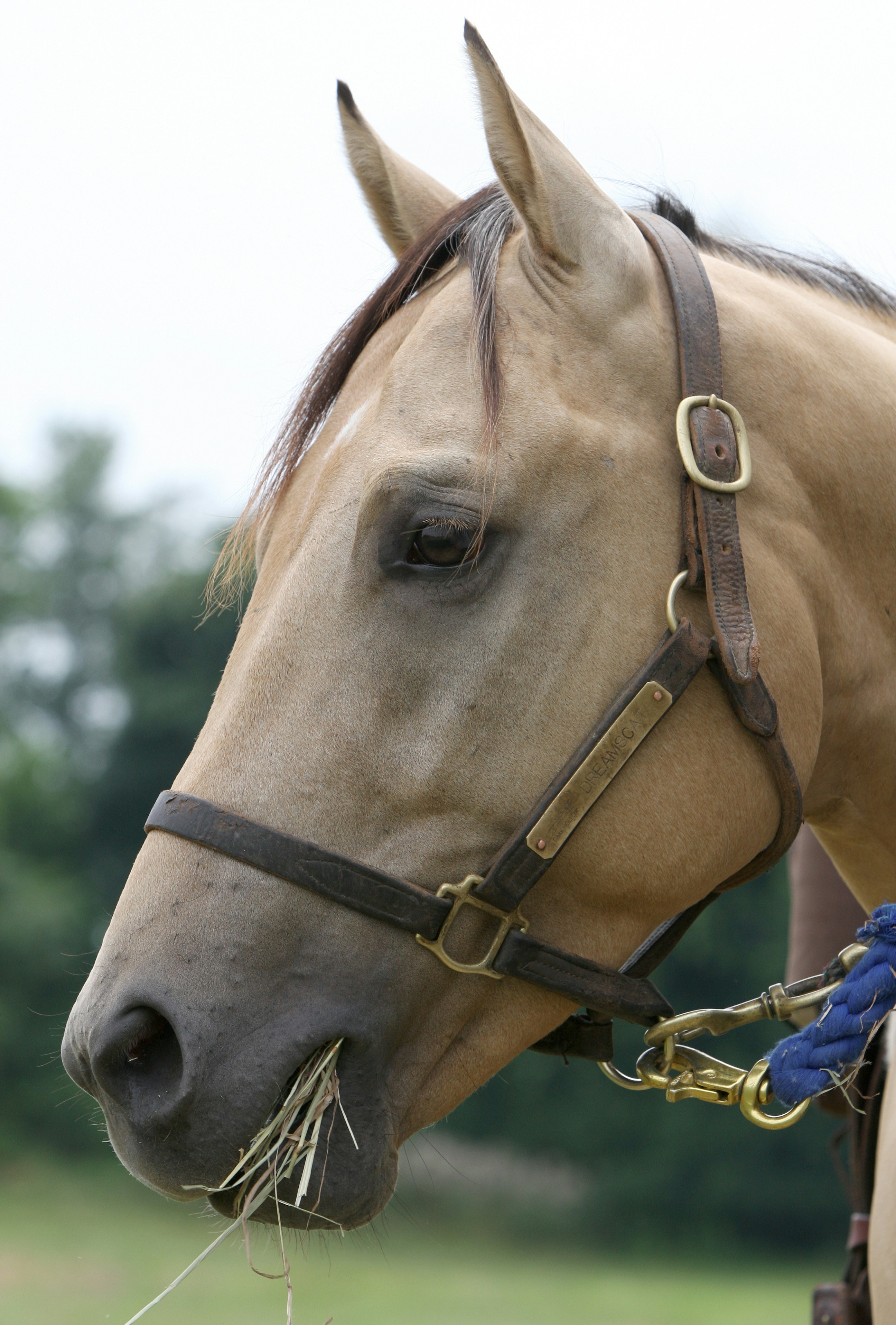 Photo by john_cardamone