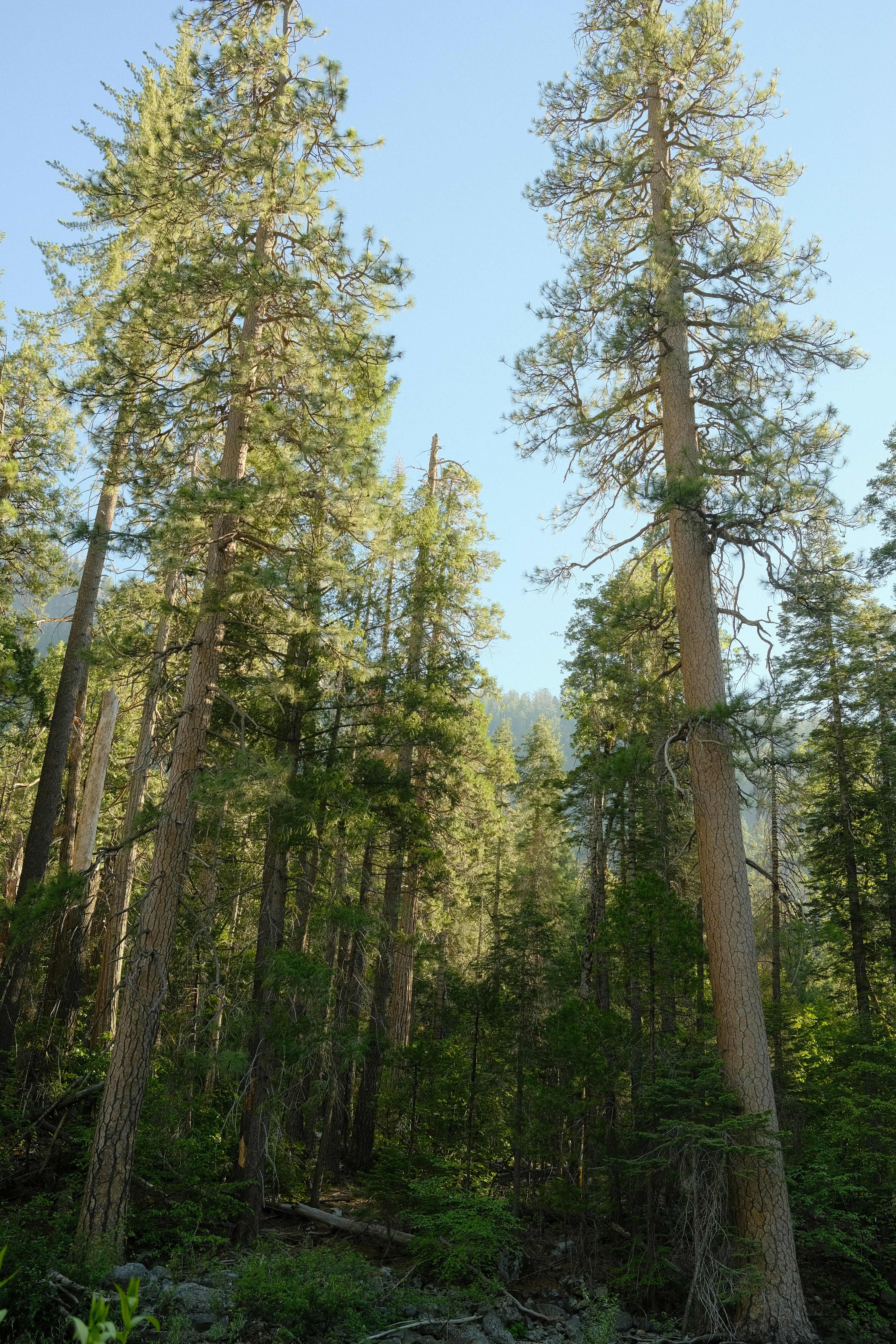 Photo by jsthibodeau