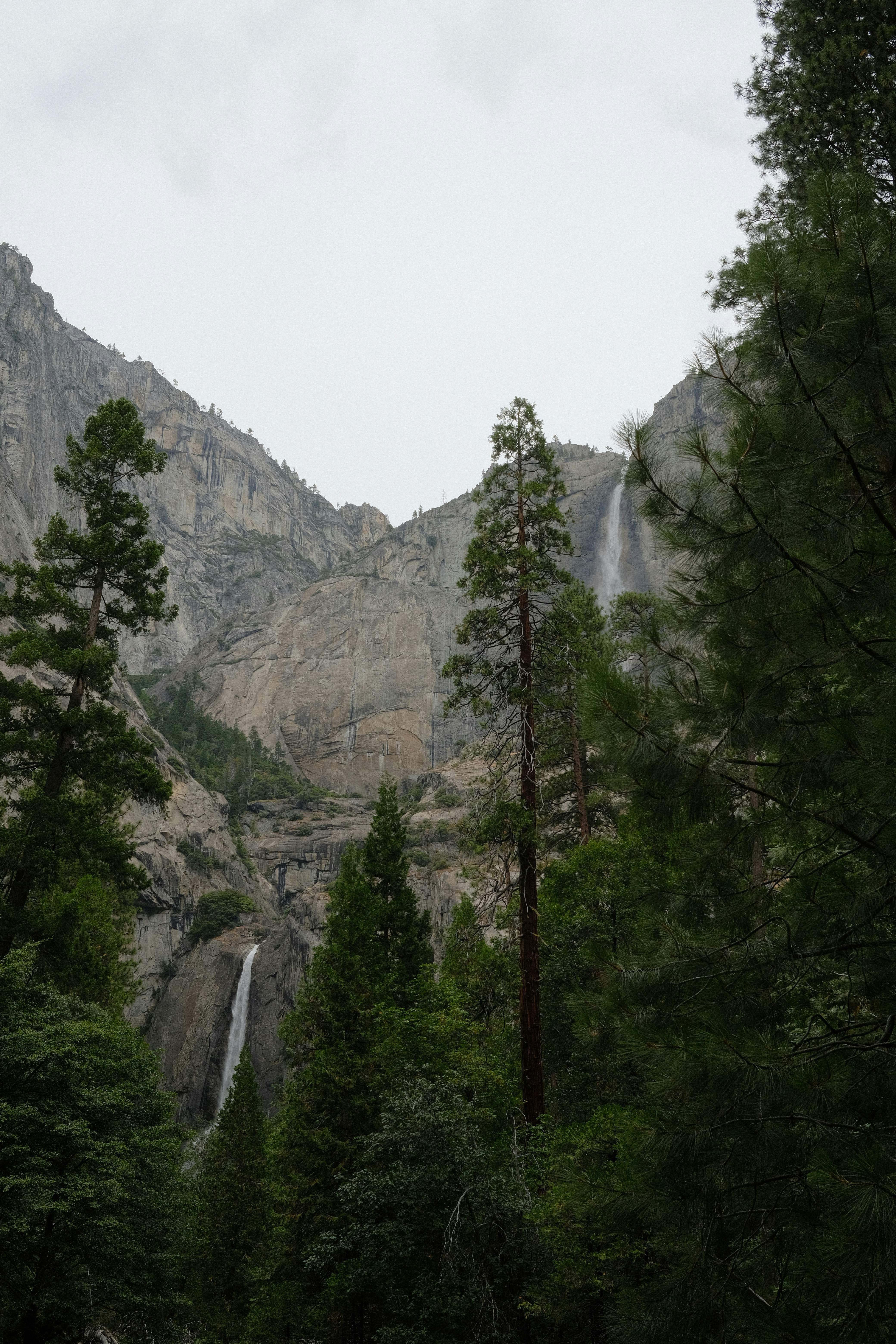 Photo by jsthibodeau