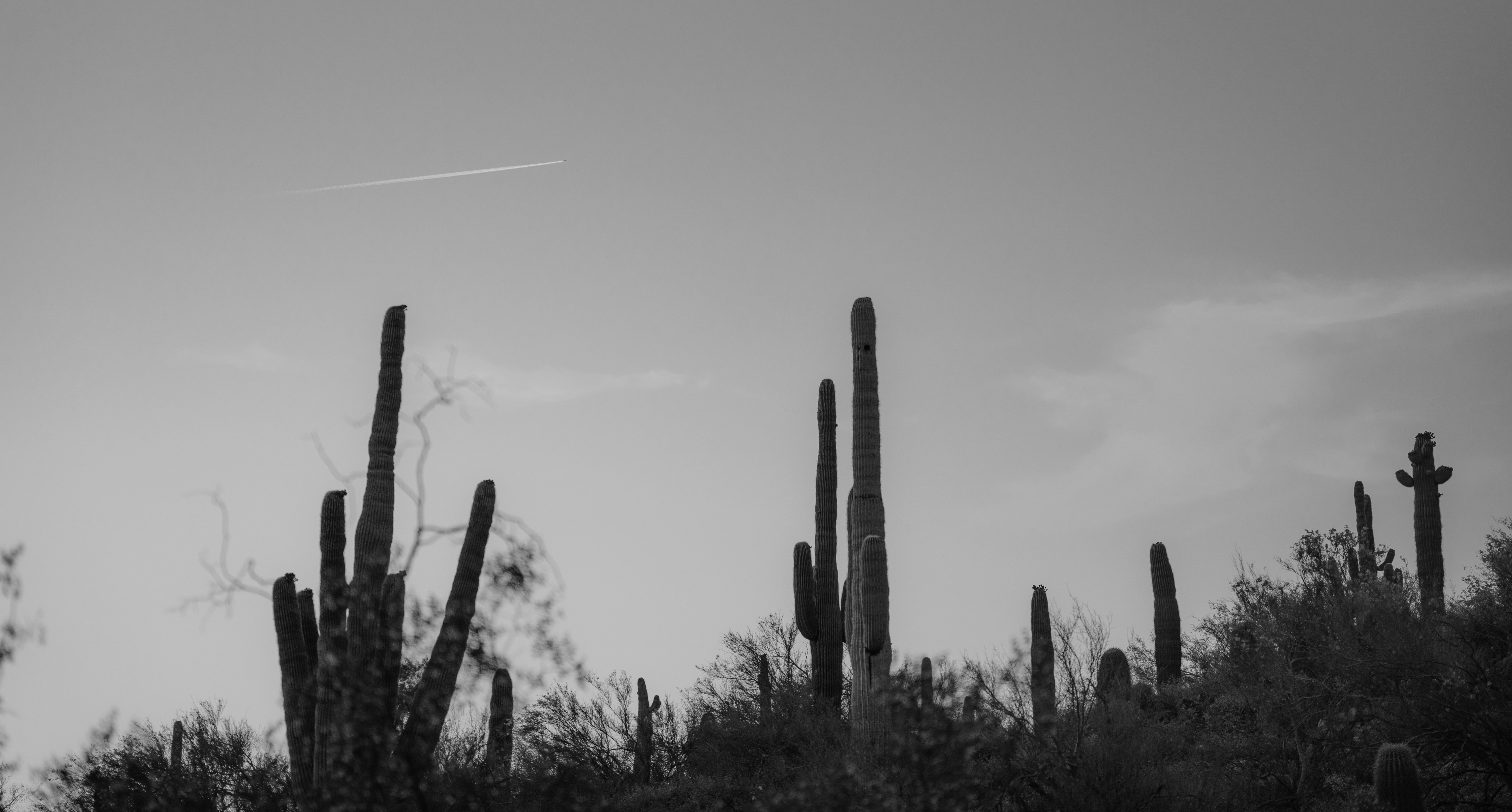 photo 1738711487930 b593fca57152?crop=entropy&cs=tinysrgb&fit=max&fm=jpg&ixid=M3w1MjQ0NjR8MHwxfHNlYXJjaHw5fHxDbGVhciUyMEFsaWduZXJzJTIwUG93ZXIlMjBSYW5jaCUyMEdpbGJlcnQlMjBBcml6b25hfGVufDB8MHx8fDE3NzQ2NTYyNzZ8MA&ixlib=rb 4.1