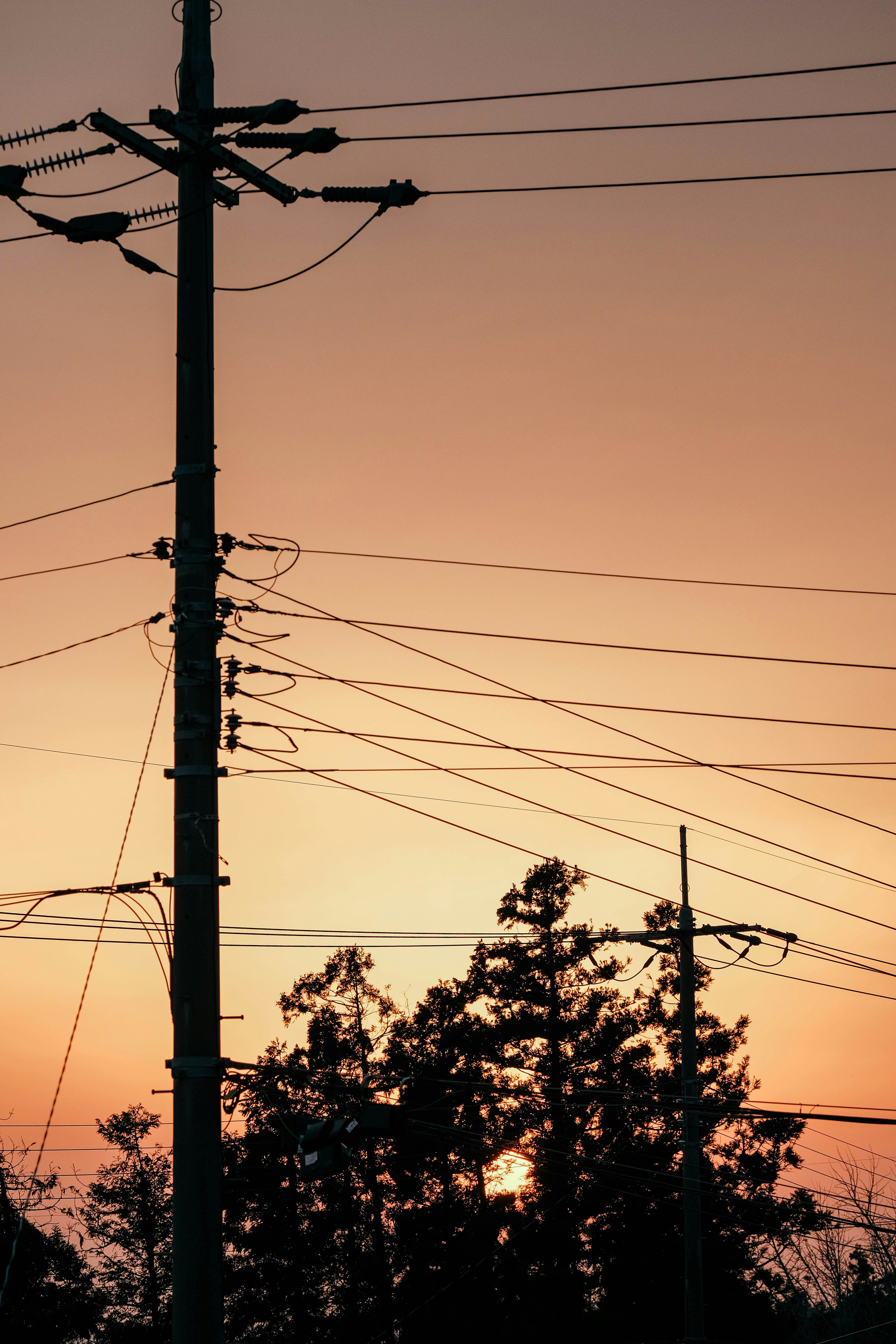 Photo by insungpandora