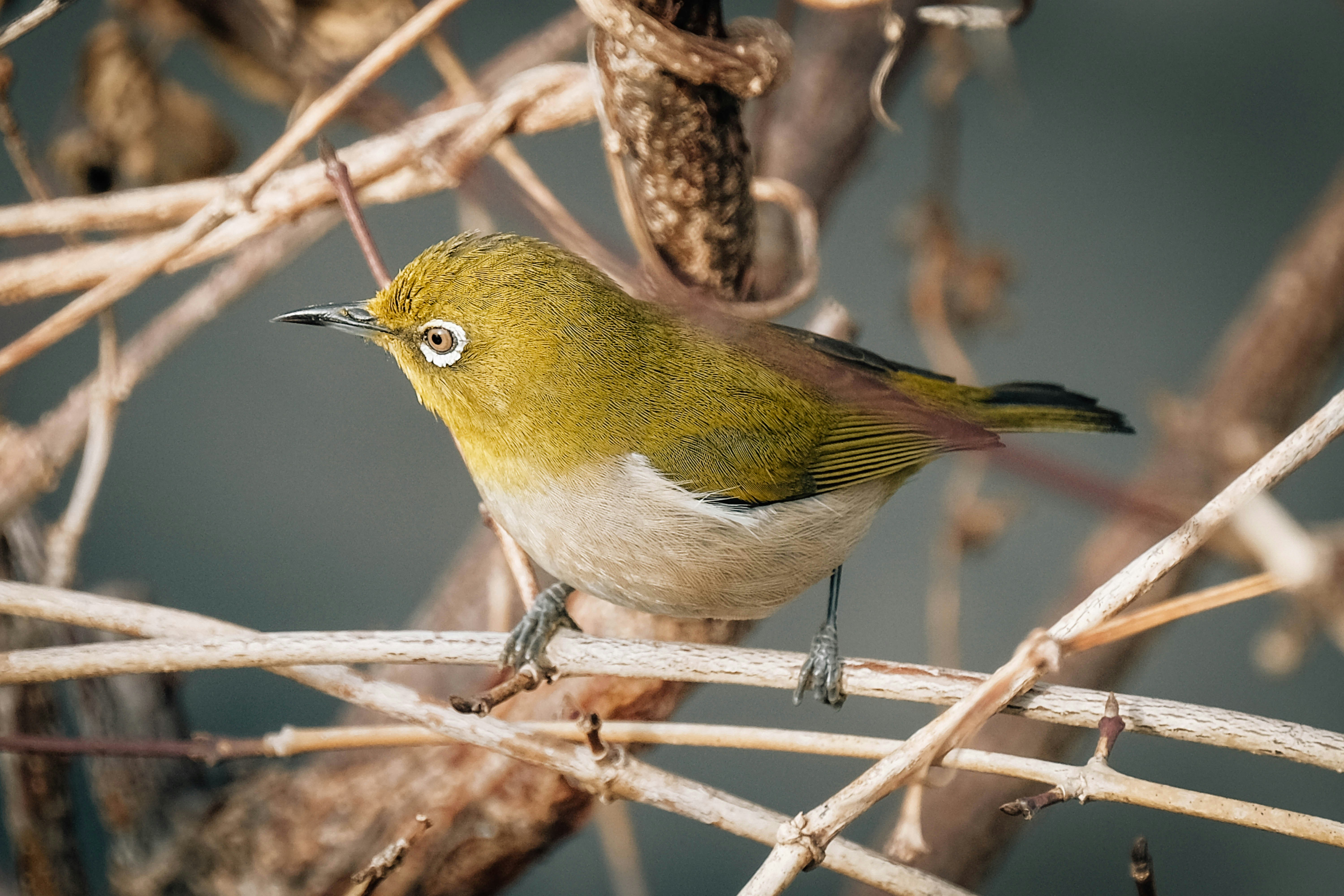 Photo by insungpandora