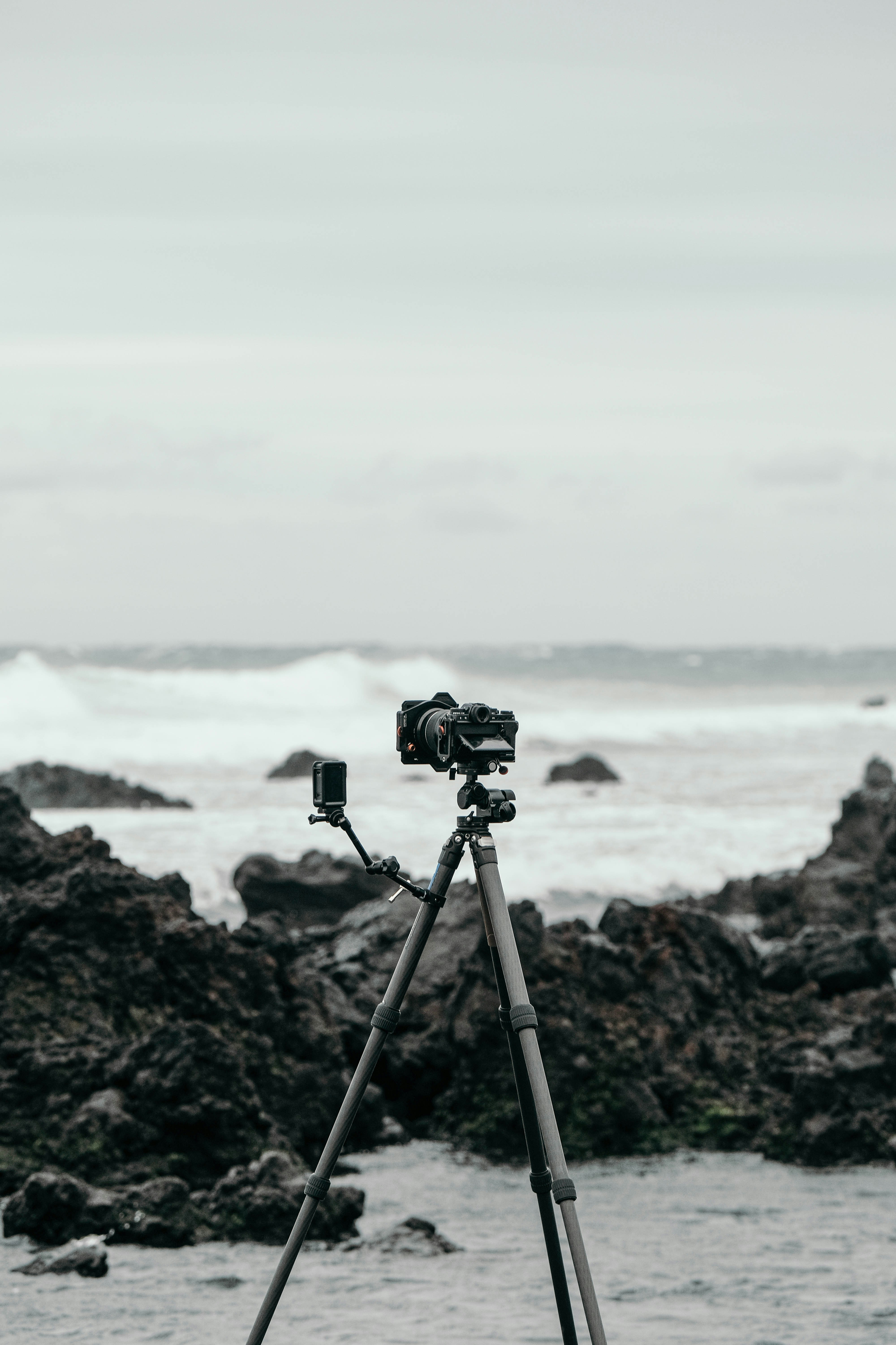 Photo by insungpandora