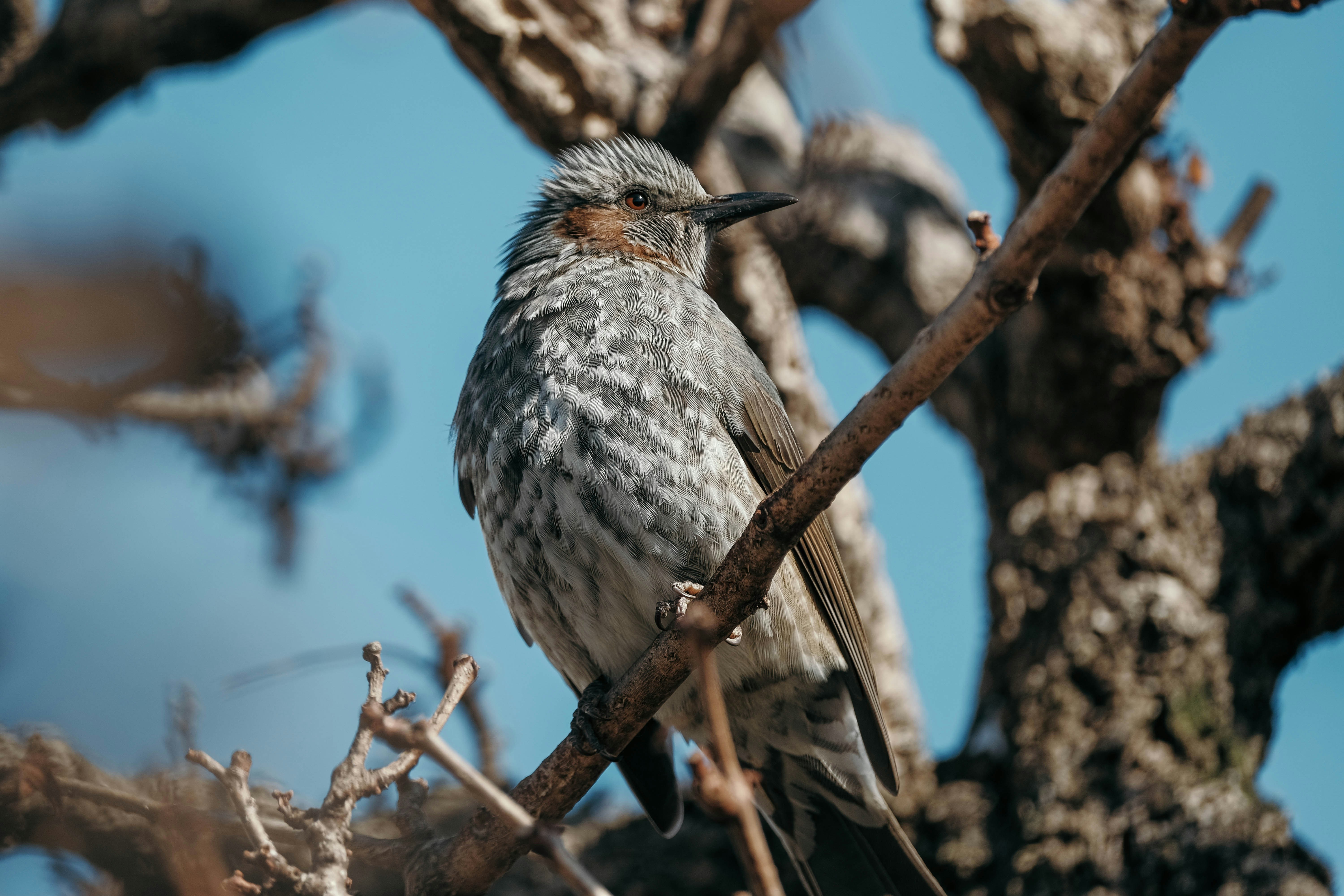 Photo by insungpandora