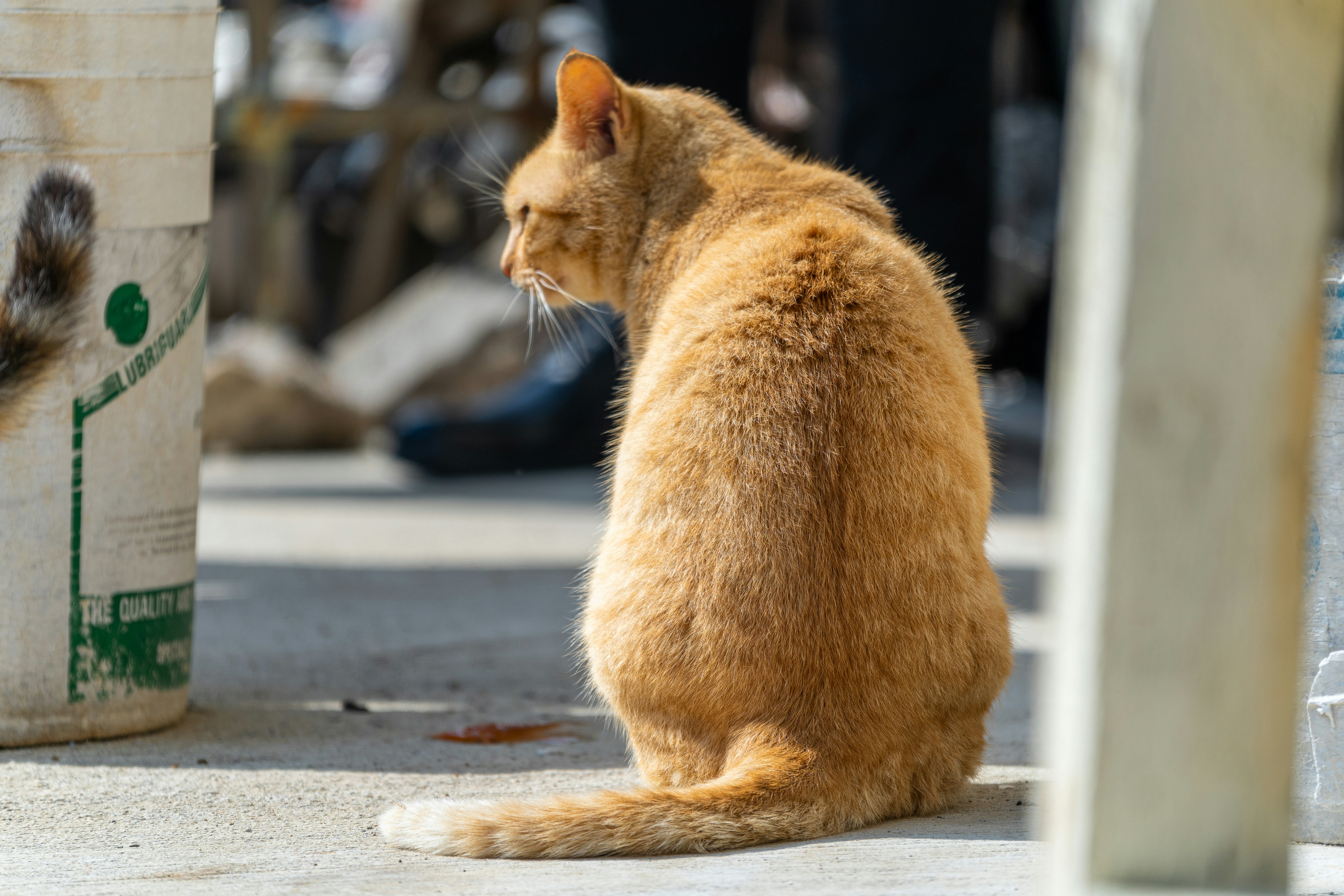 Photo by winstonchen