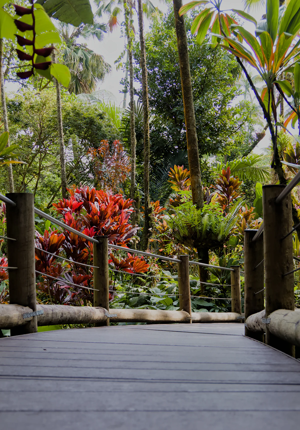 Kizhoor Botanical Garden
