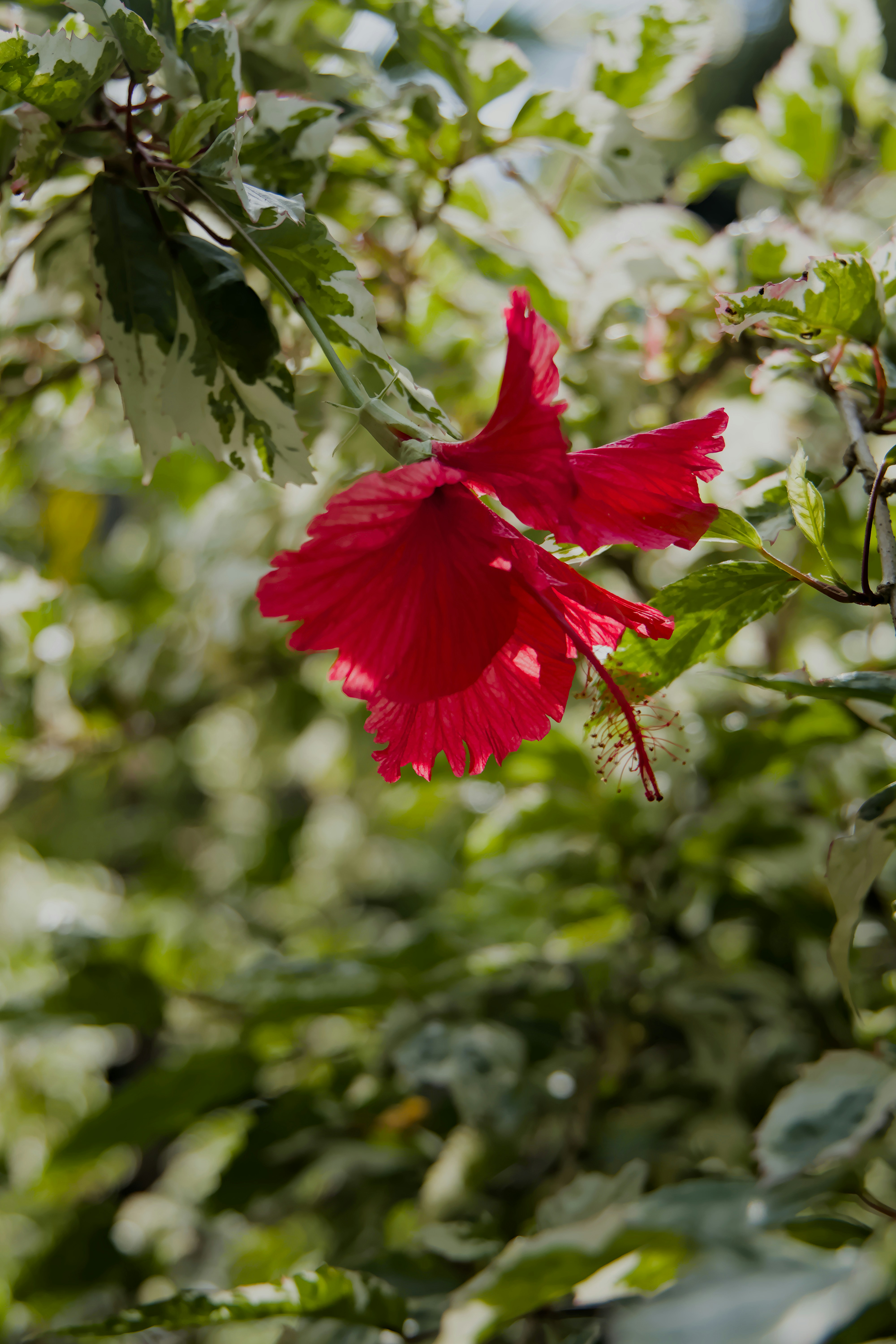 Photo by carbonmonoxide