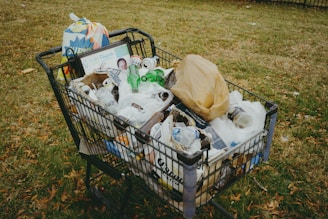 A shopping cart filled with items in a yard
