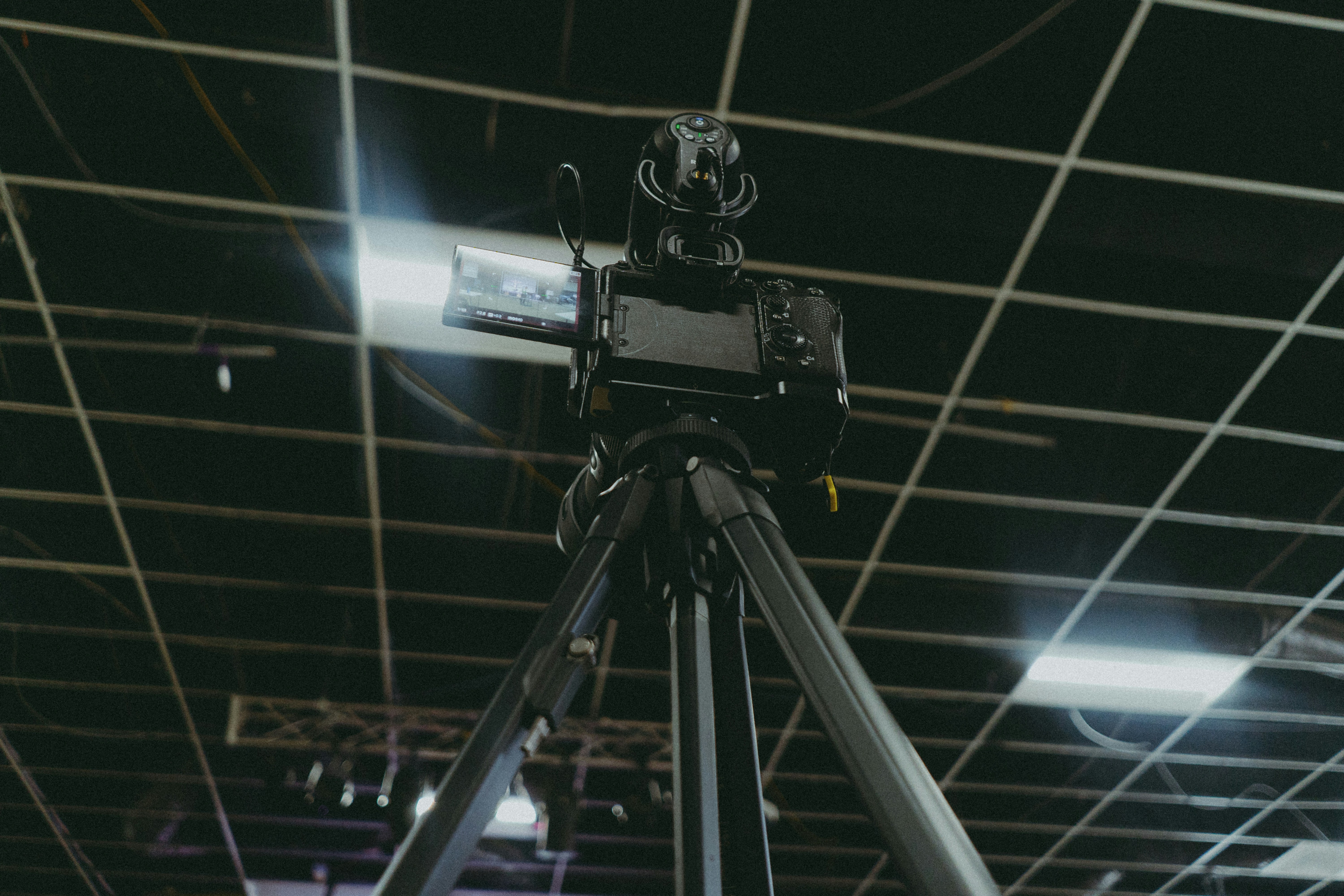 Photo by director_homie