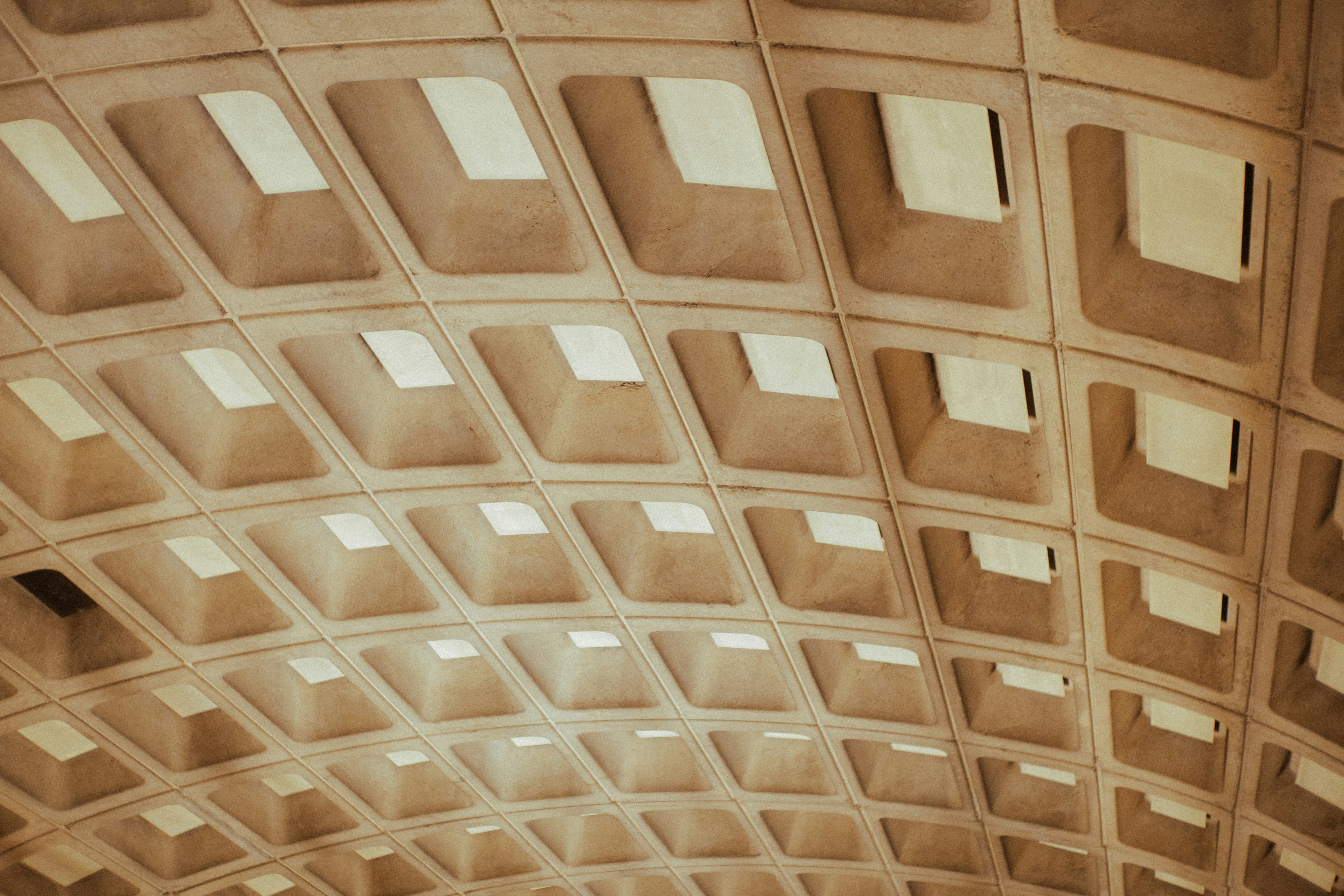 Photo by director_homie