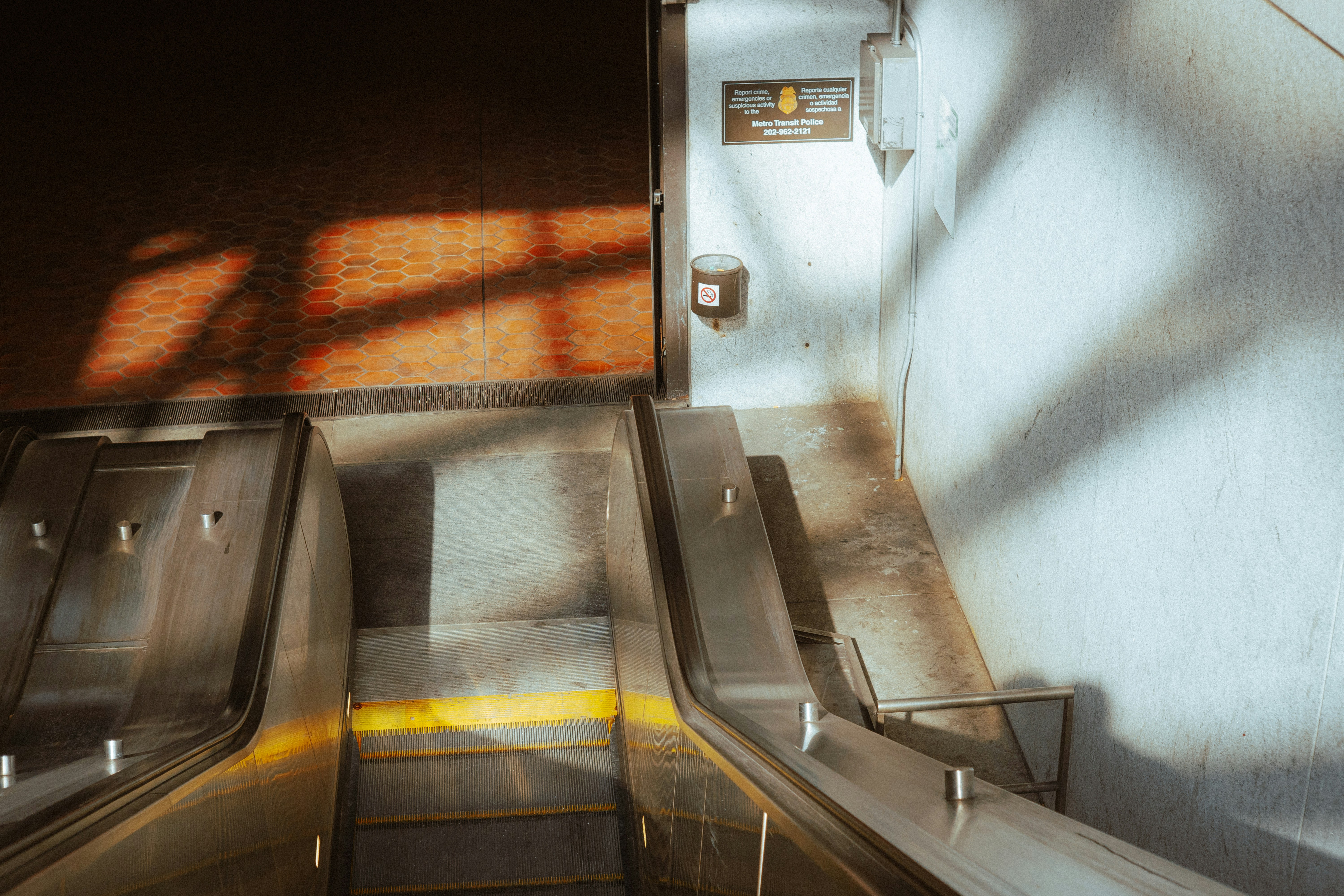 Photo by director_homie