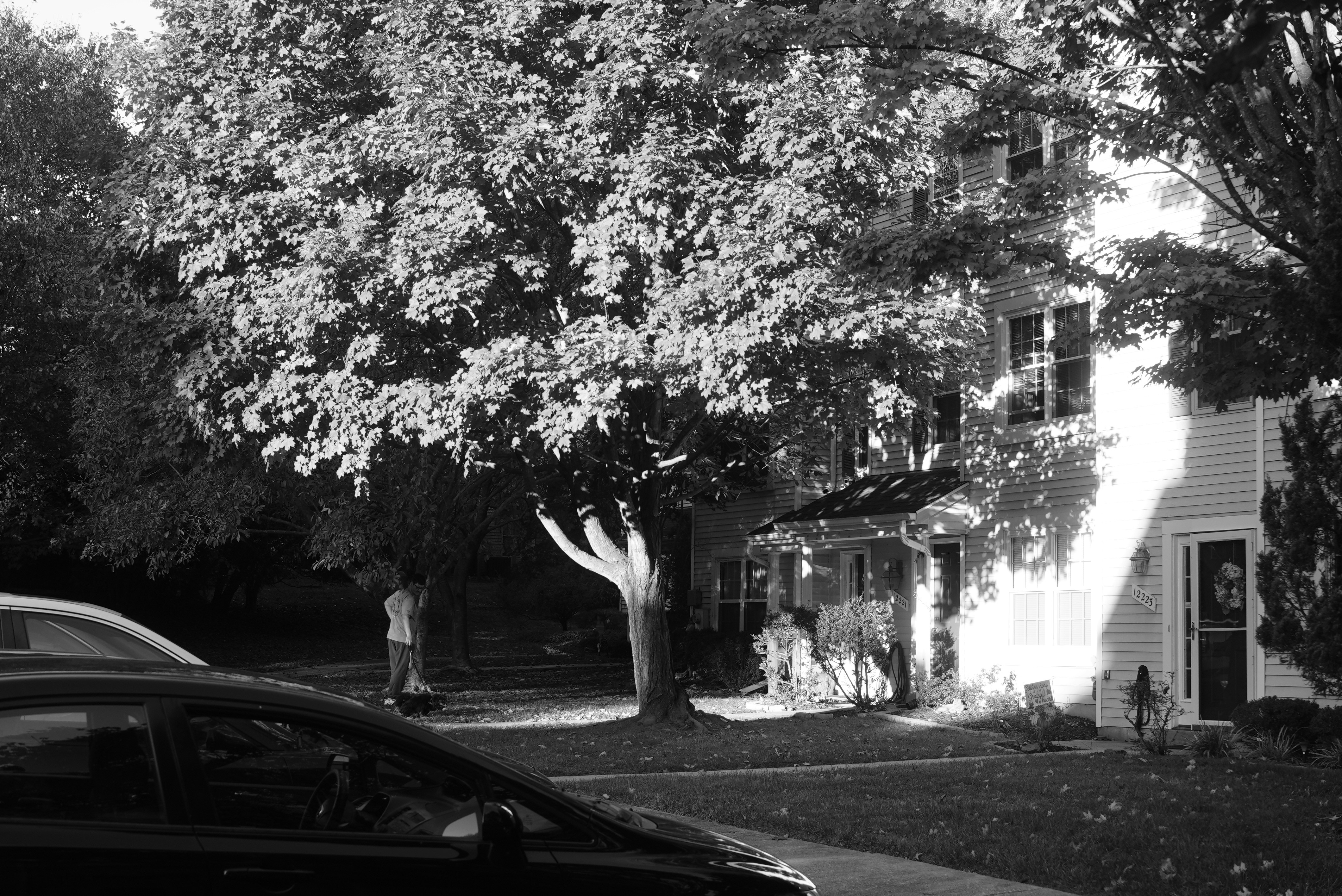 Photo by director_homie