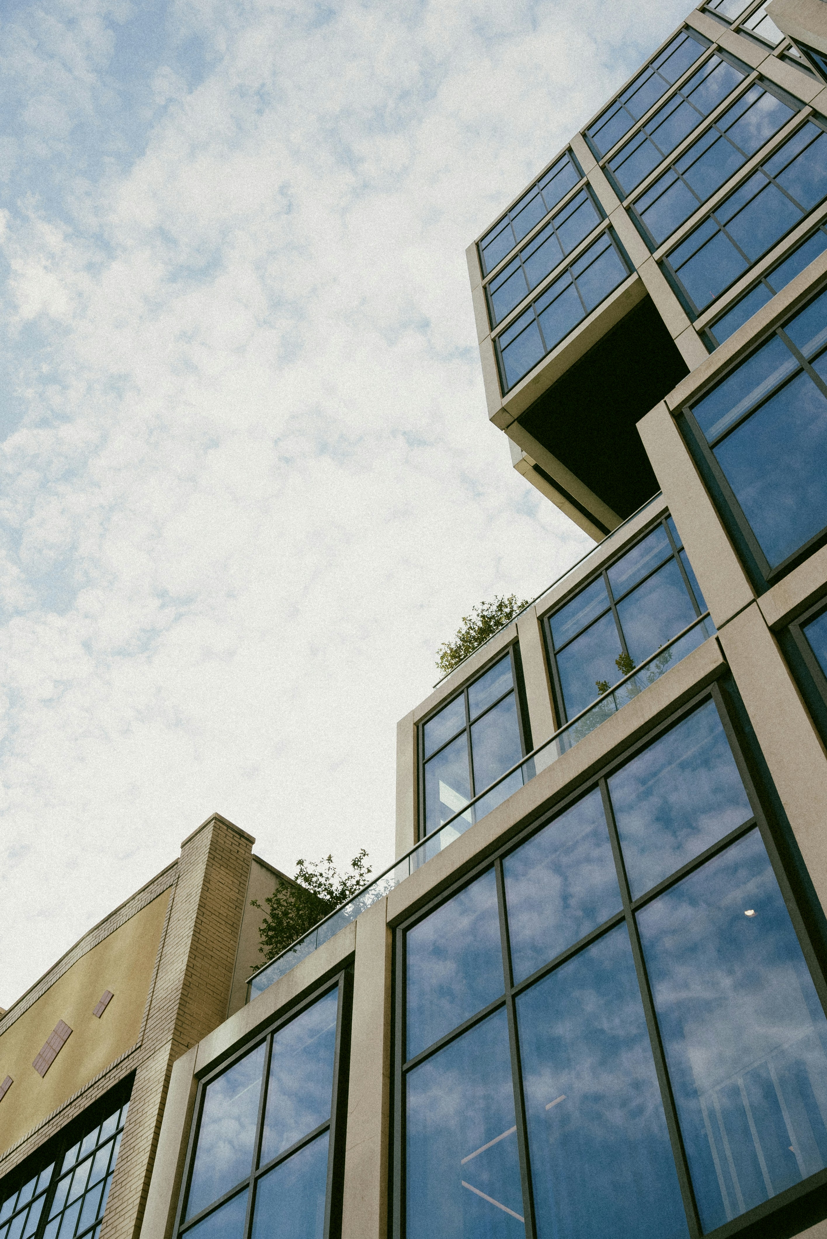 Photo by director_homie