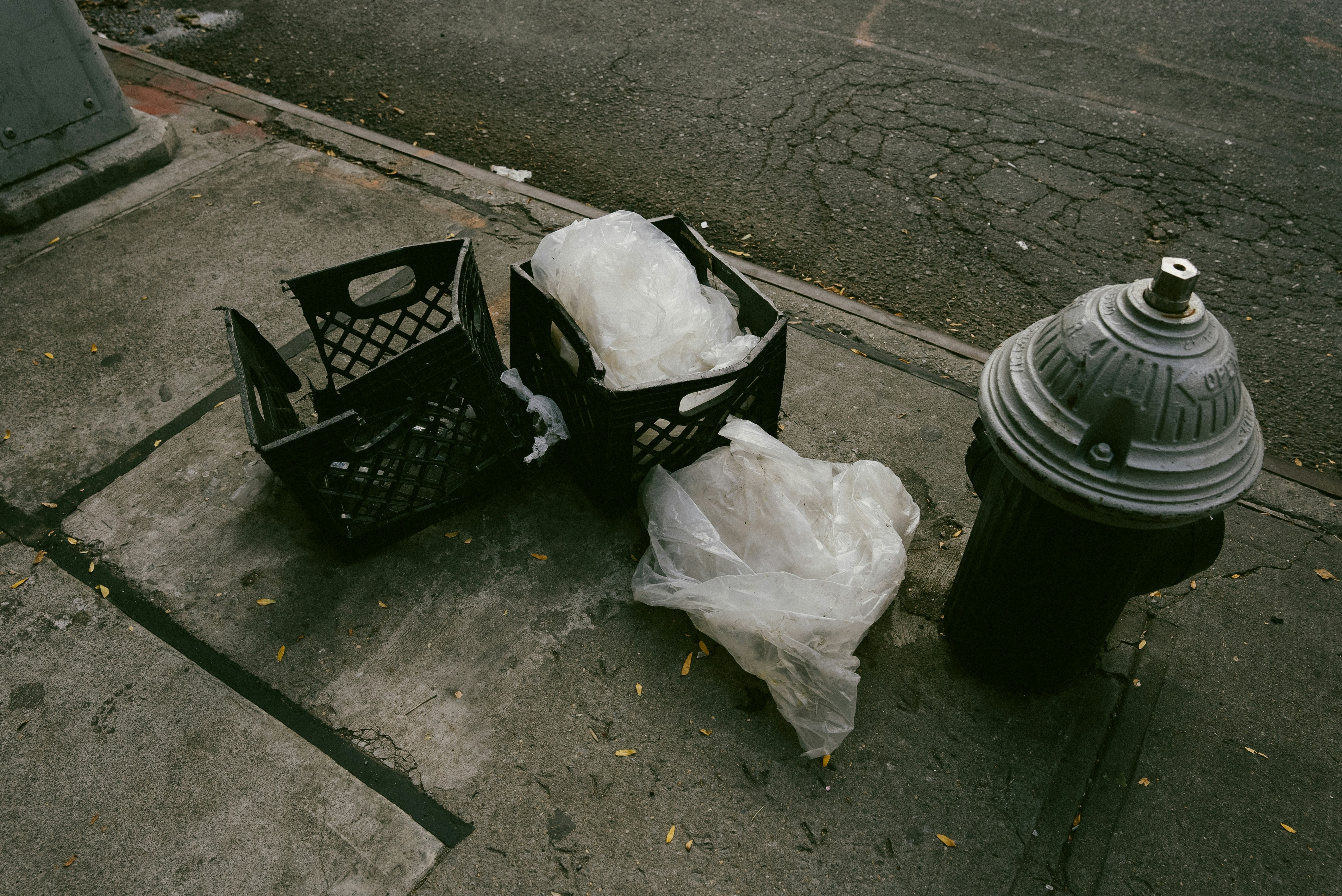 Photo by director_homie