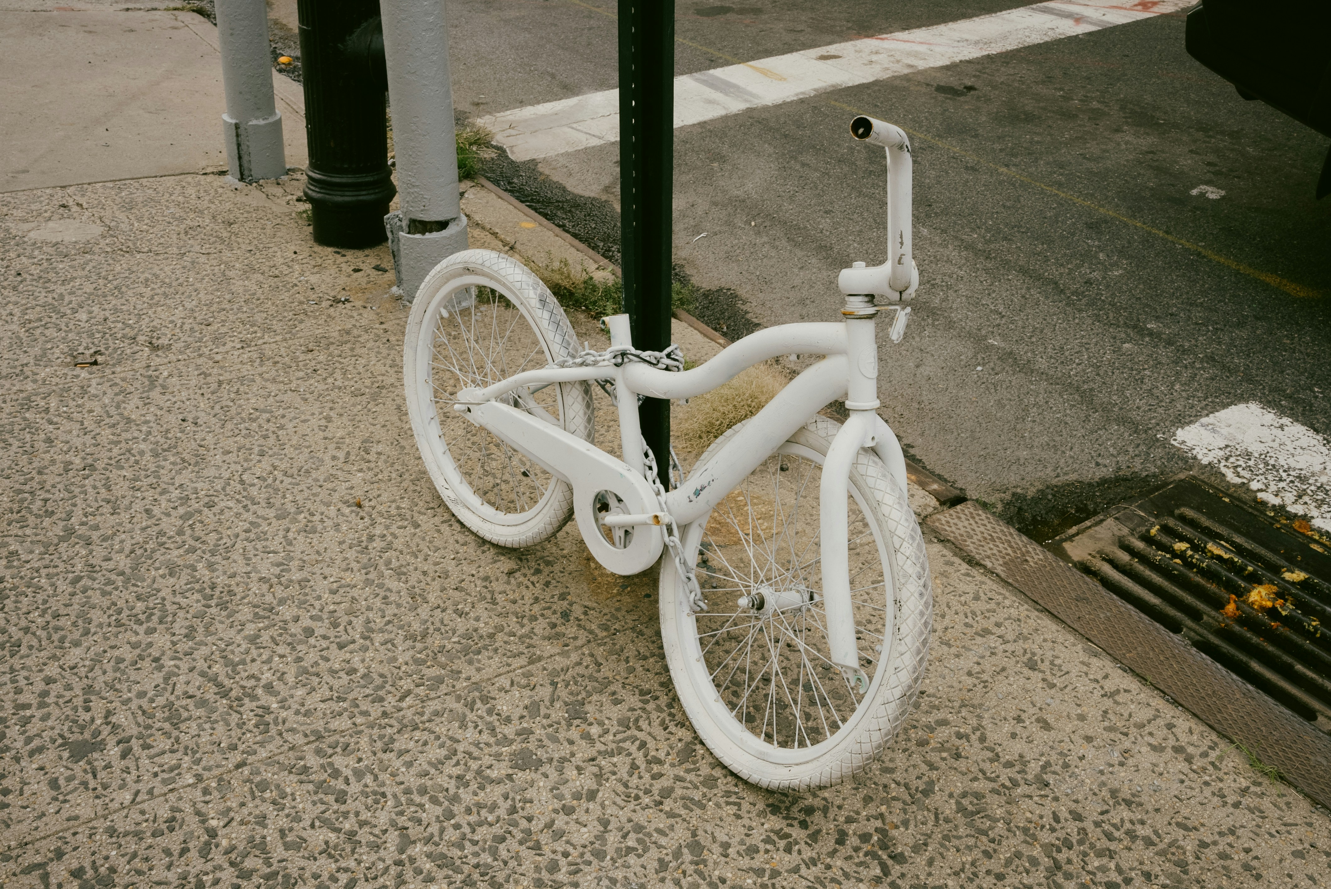 Photo by director_homie