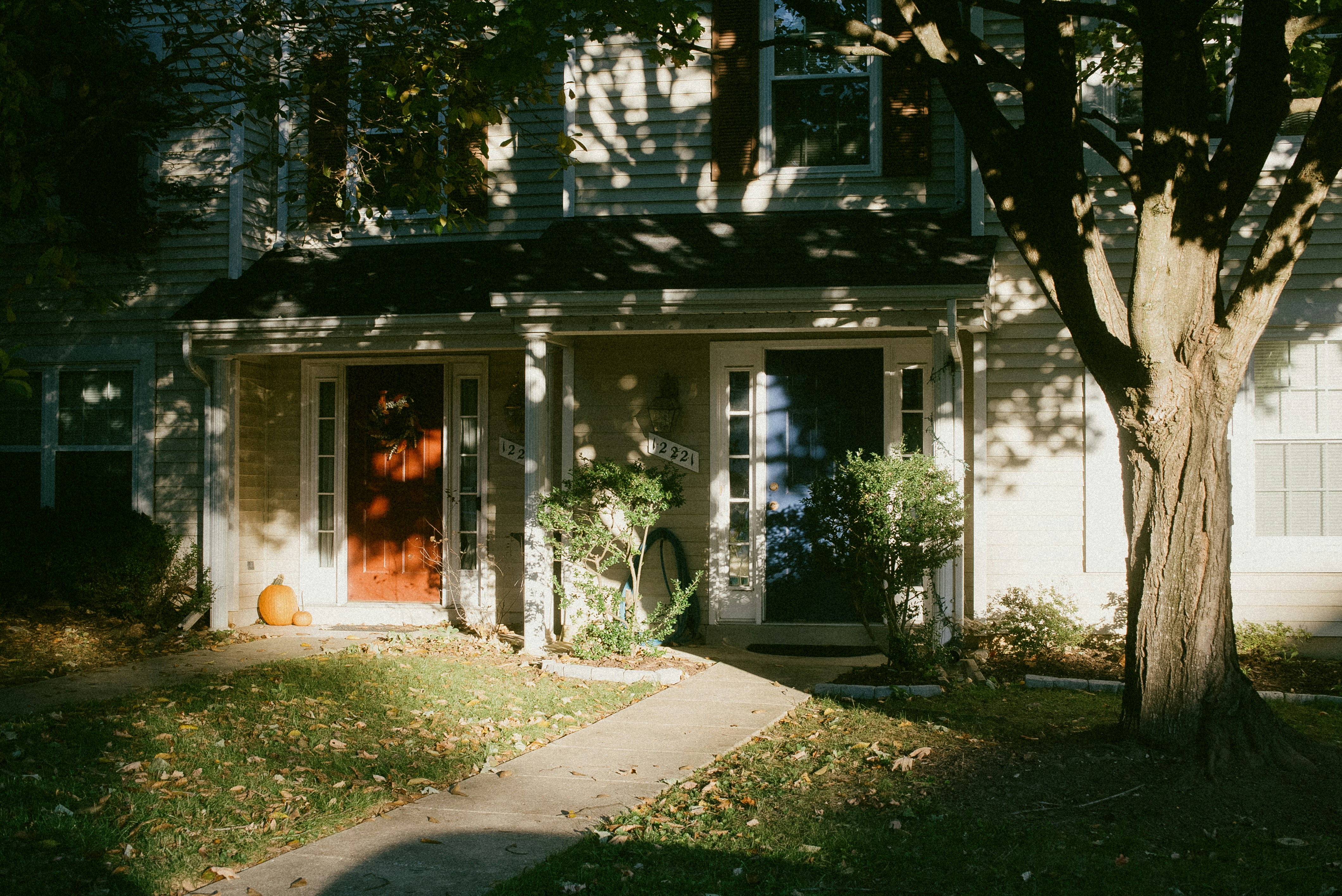 Photo by director_homie