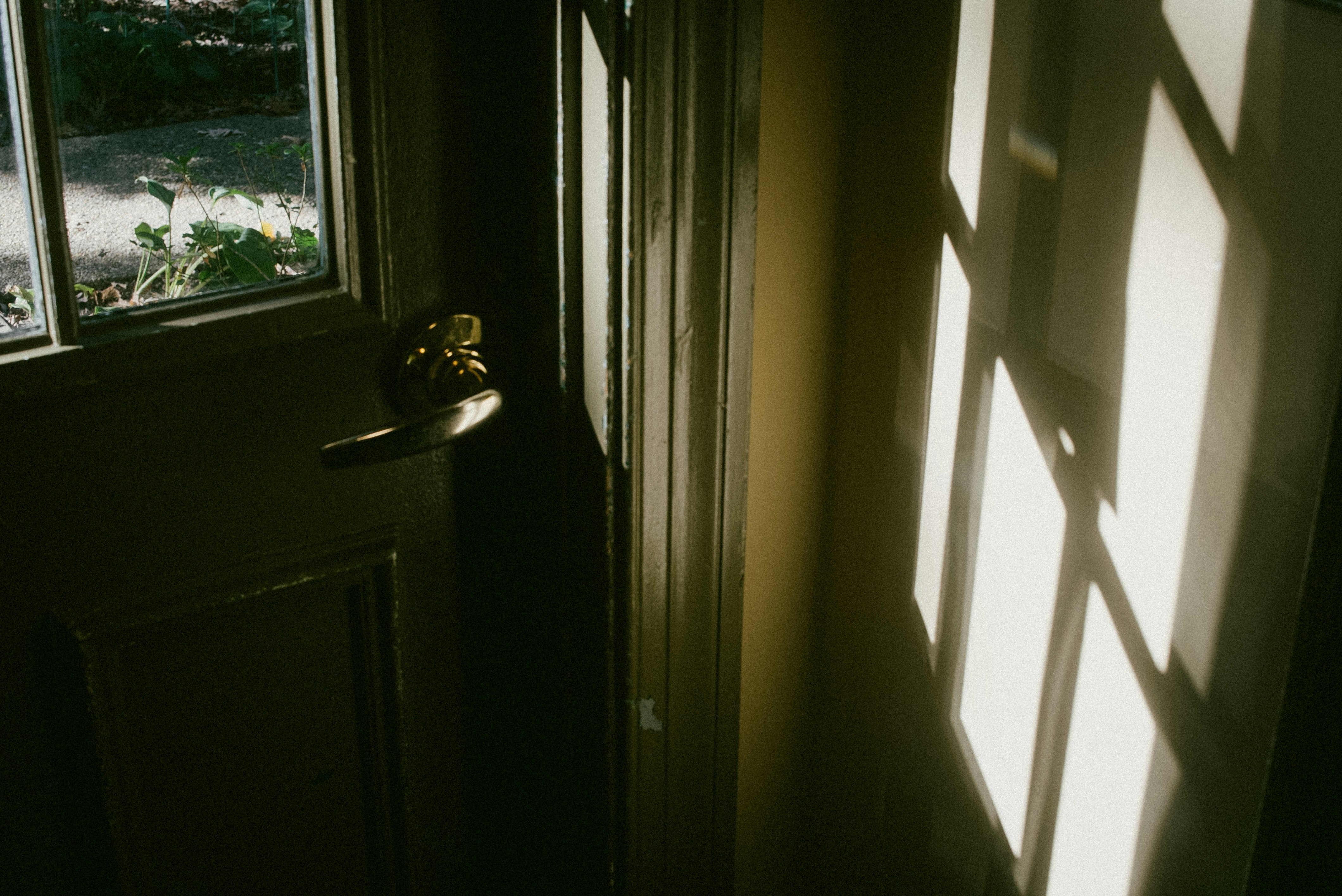 Photo by director_homie