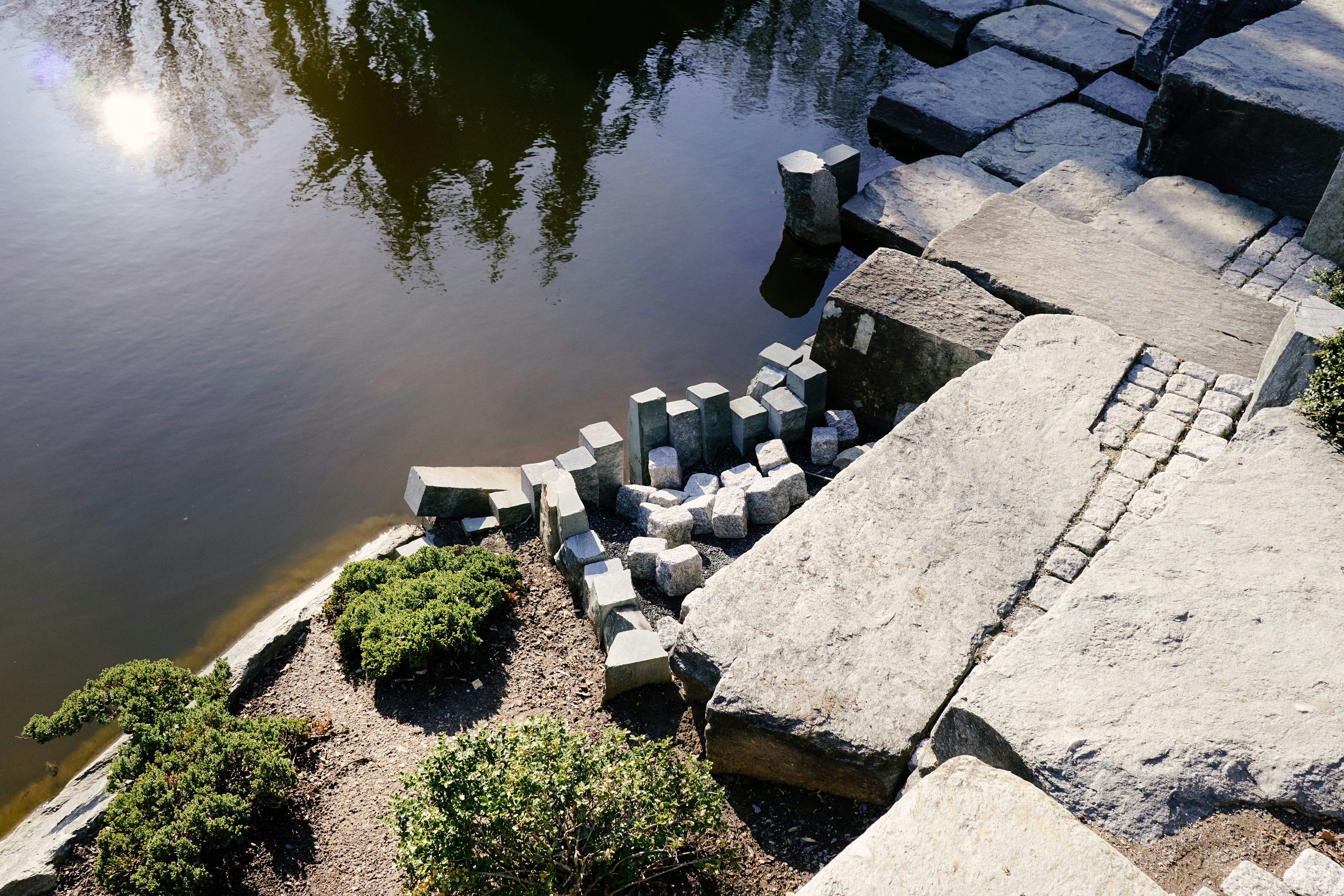 A view of a pond from above